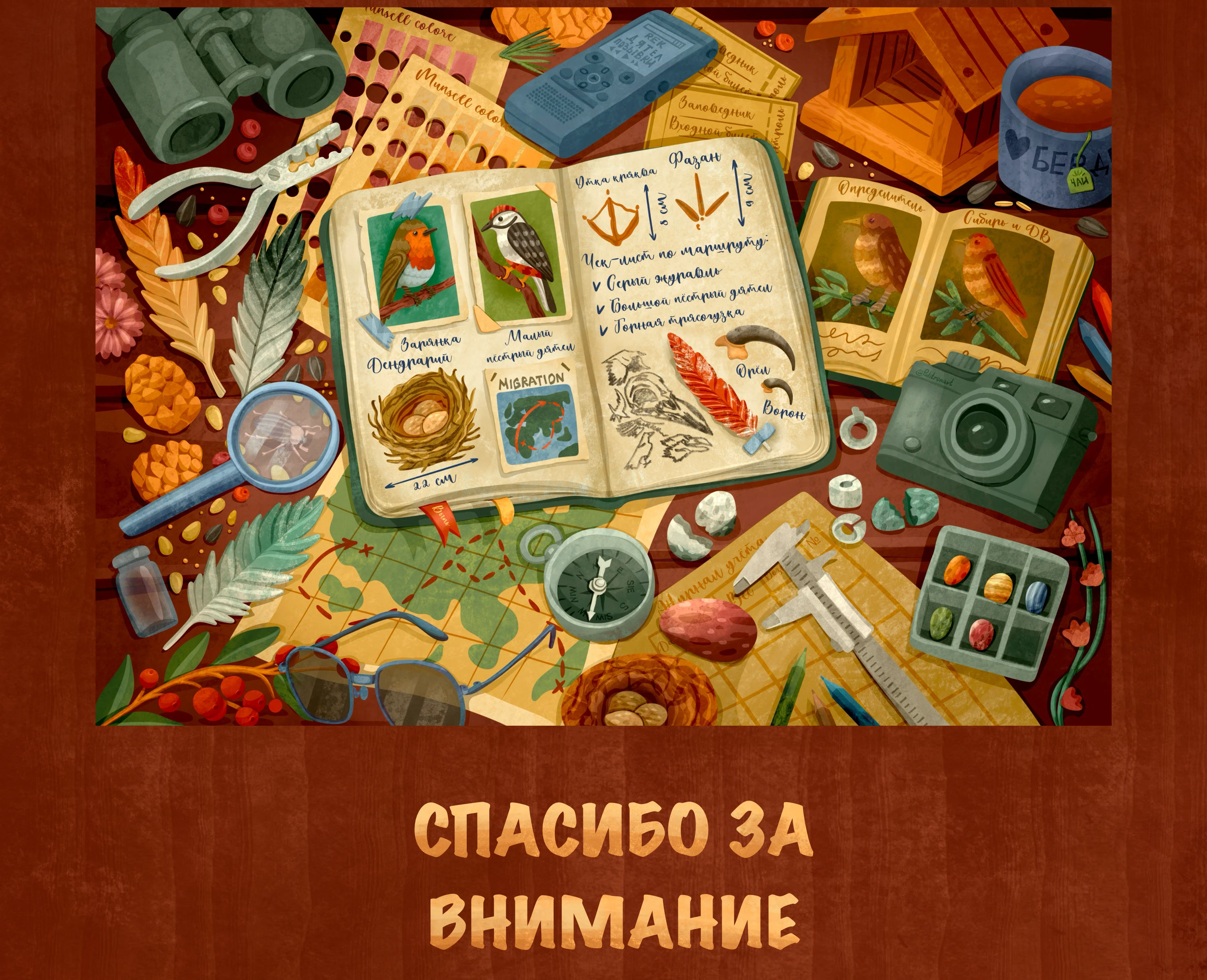 Игра Найди отличия: дневник орнитолога — Изображение №4 — Иллюстрация на Dprofile