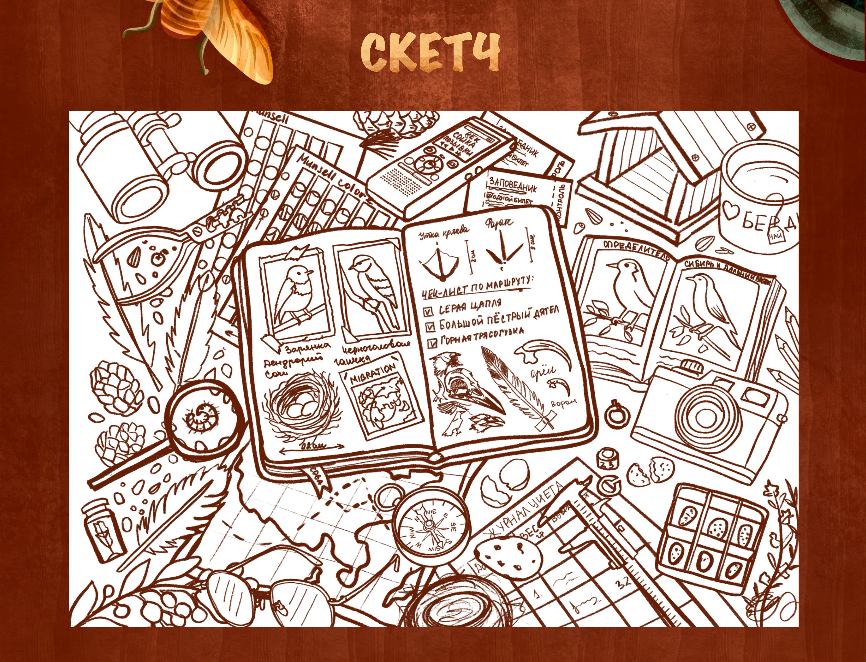 Игра Найди отличия: дневник орнитолога — Изображение №2 — Иллюстрация на Dprofile