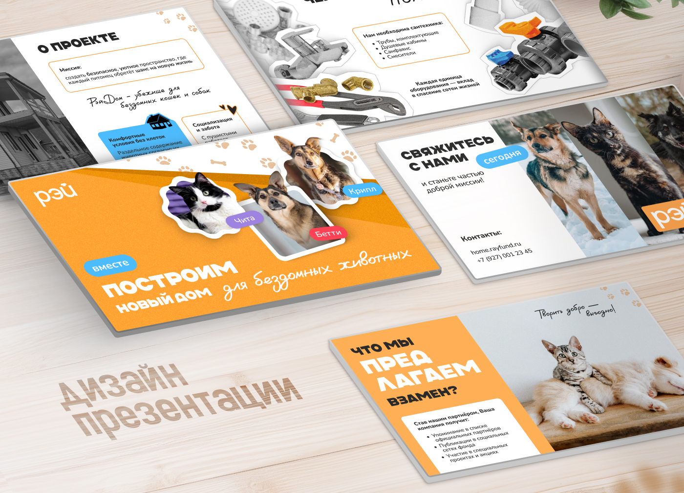 Презентация I Благотворительность, фонд, животные — Изображение №1 — Маркетинг на Dprofile