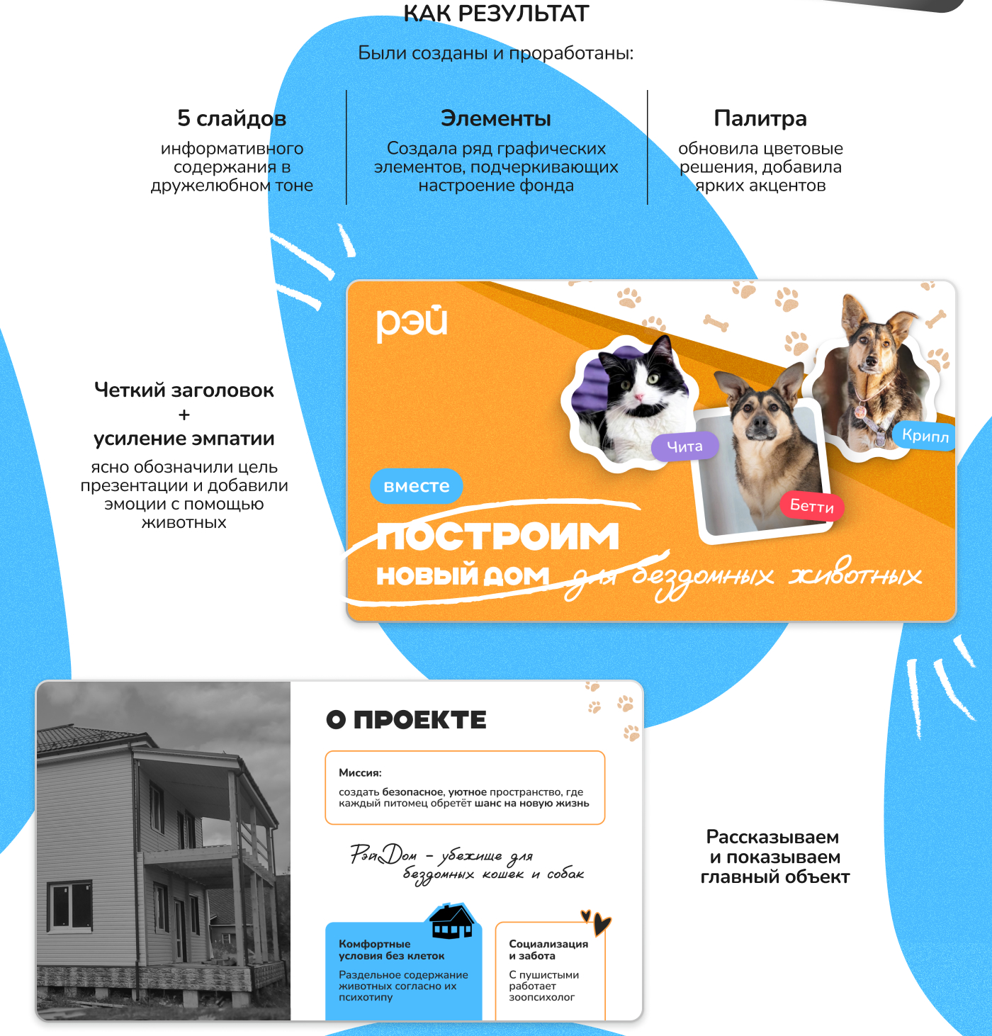 Презентация I Благотворительность, фонд, животные — Изображение №3 — Маркетинг на Dprofile
