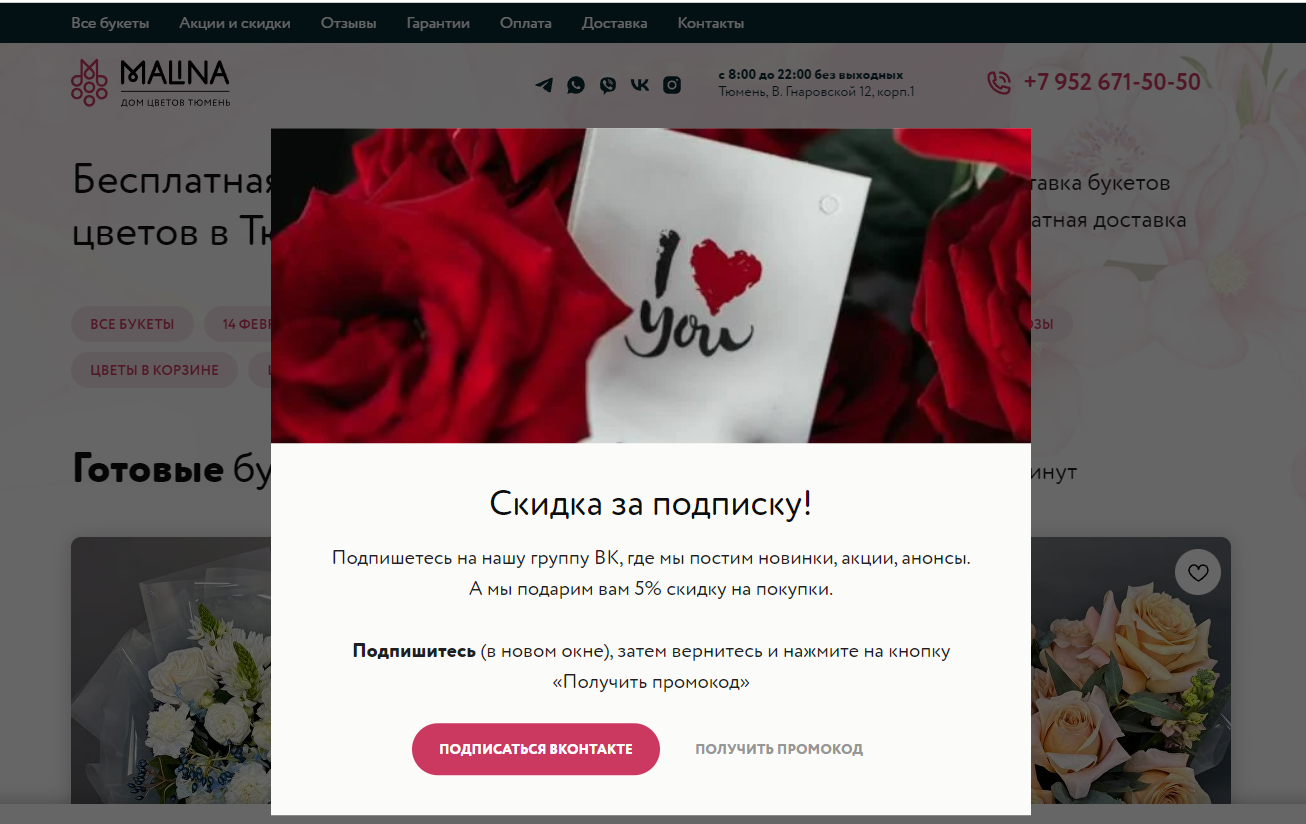 Подписчики для соцсетей с сайта на Tilda — Изображение №2 — Маркетинг на Dprofile