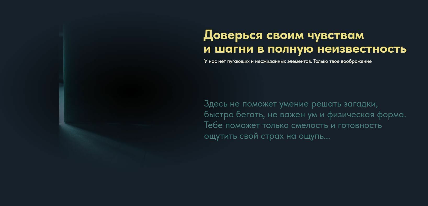 Лендинг для проверки идеи проекта — Изображение №6 — Интерфейсы, Маркетинг на Dprofile