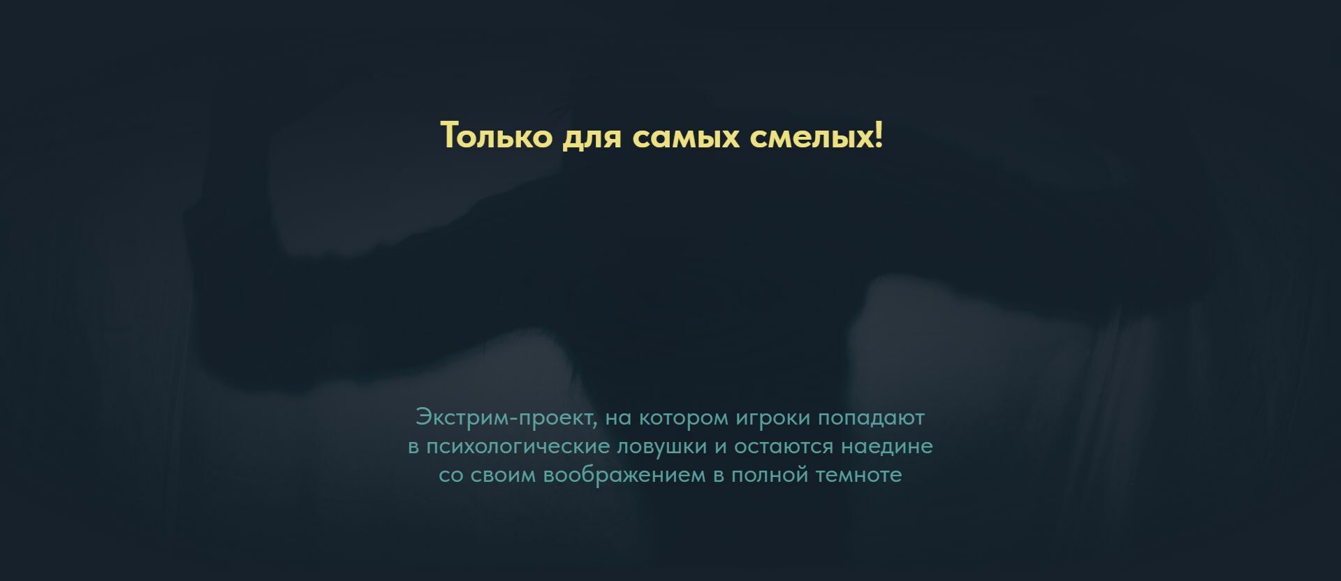 Лендинг для проверки идеи проекта — Изображение №9 — Интерфейсы, Маркетинг на Dprofile