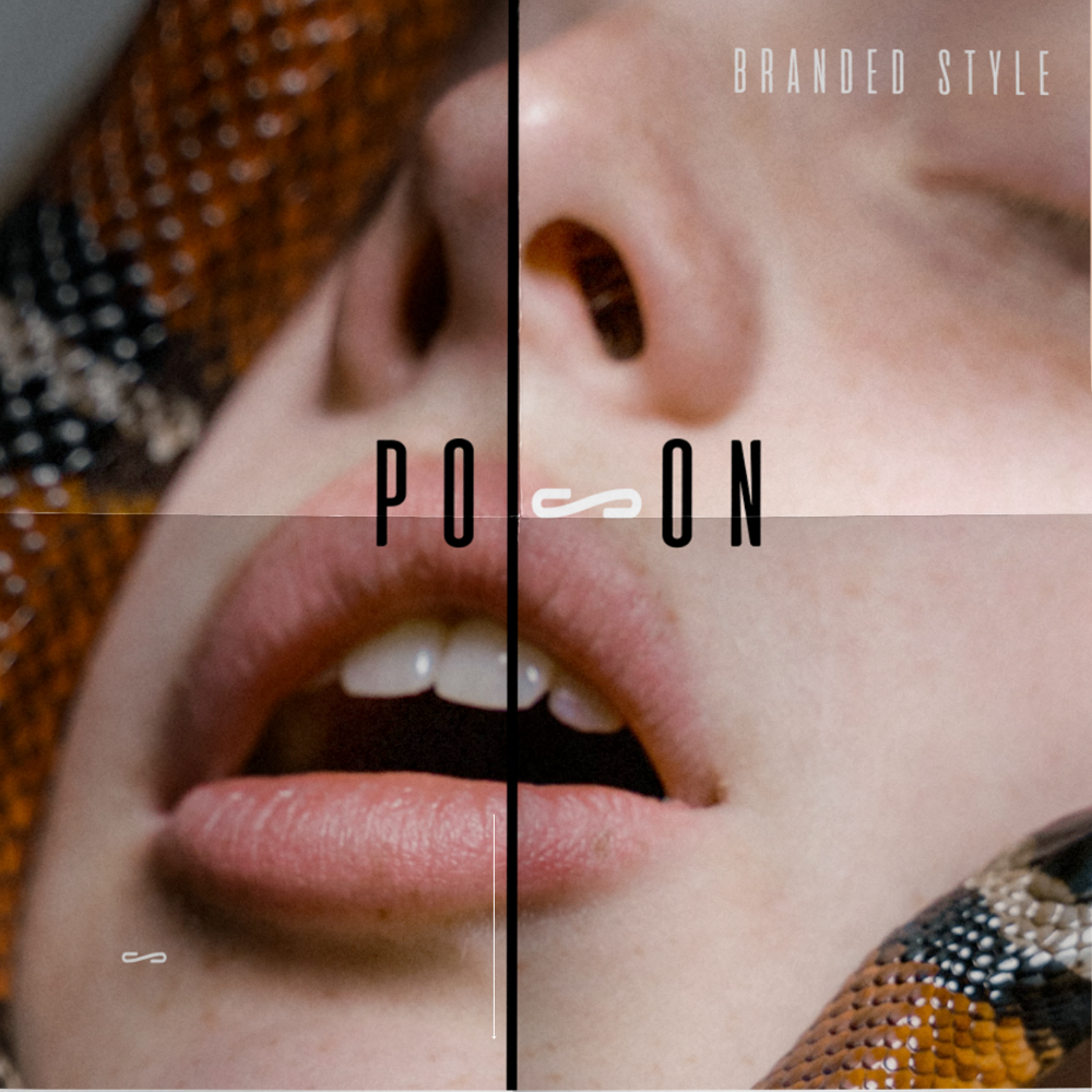 Sexshop / Poison — Изображение №1 — Брендинг на Dprofile