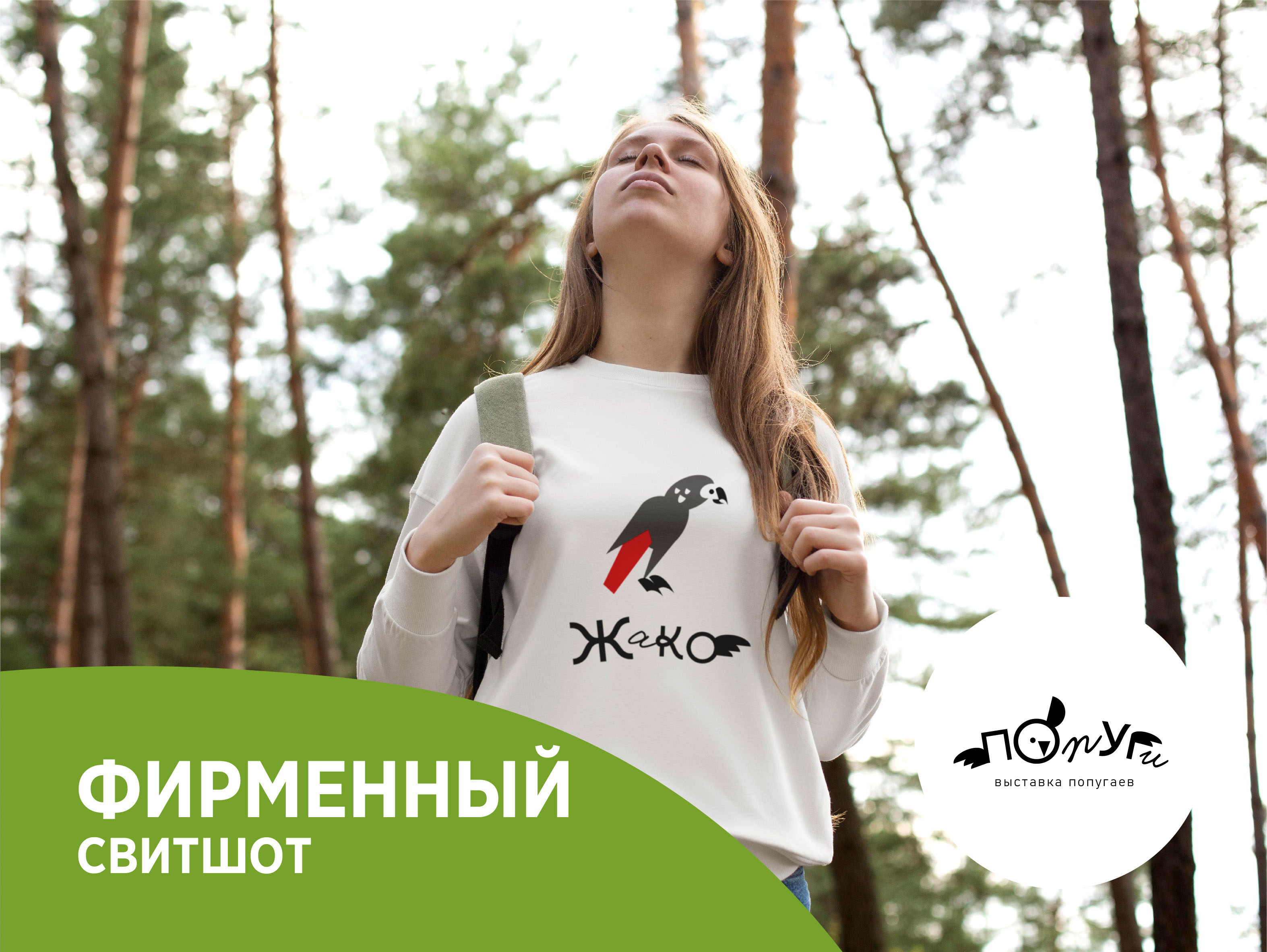 Айдентика и навигация для выставки попугаев — Изображение №9 — Графика на Dprofile