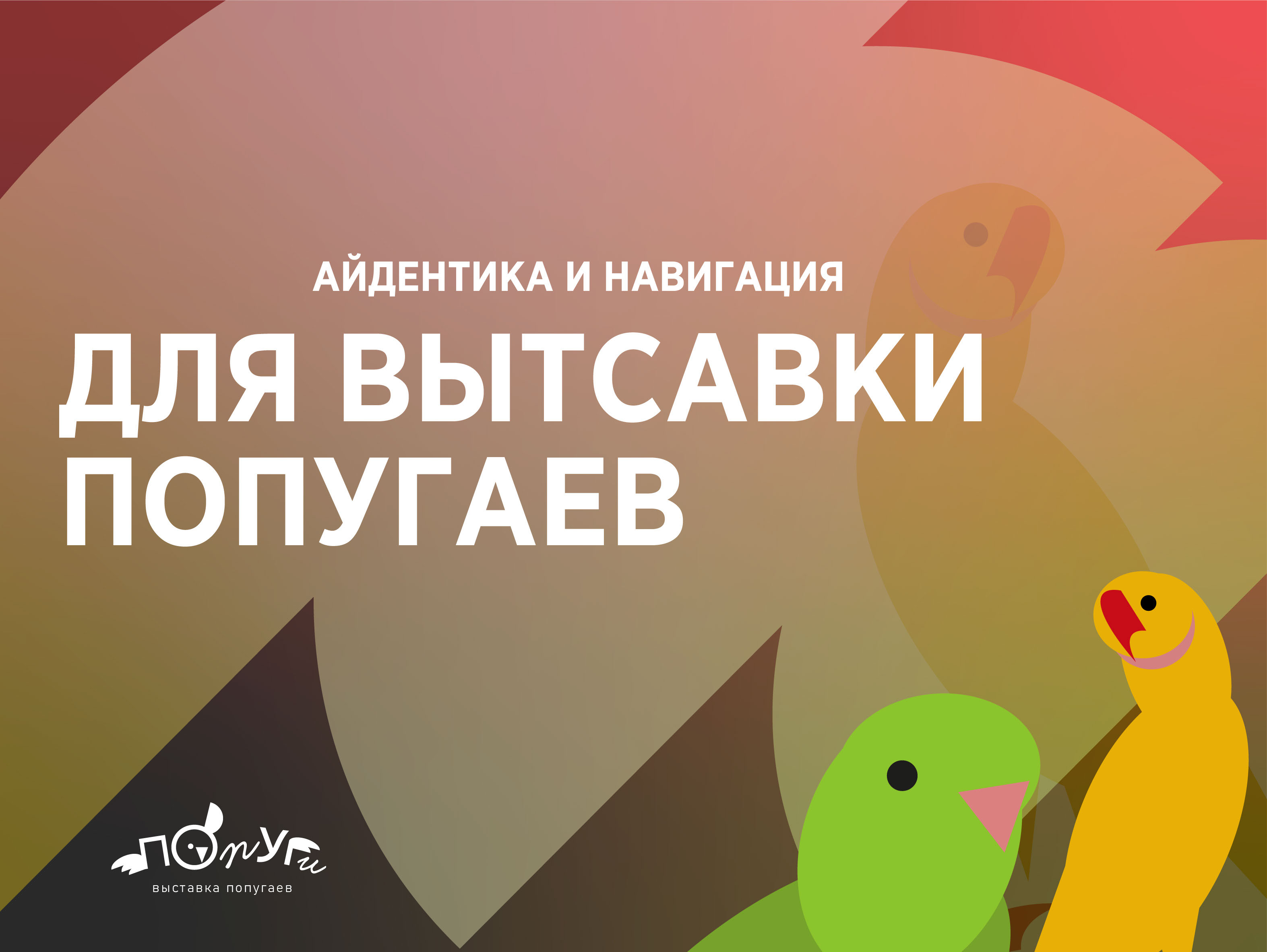 Айдентика и навигация для выставки попугаев — Изображение №1 — Графика на Dprofile