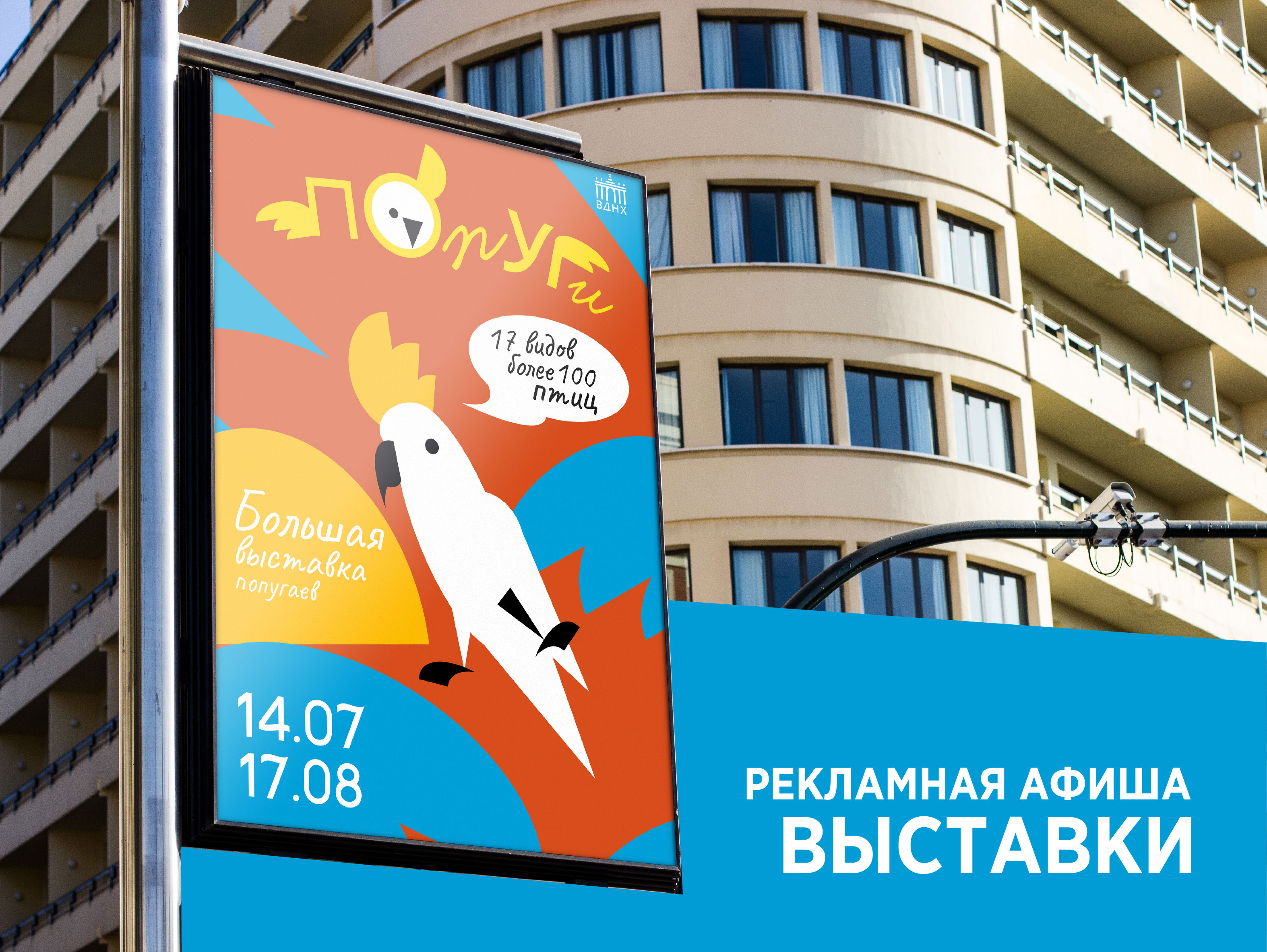 Айдентика и навигация для выставки попугаев — Изображение №4 — Графика на Dprofile