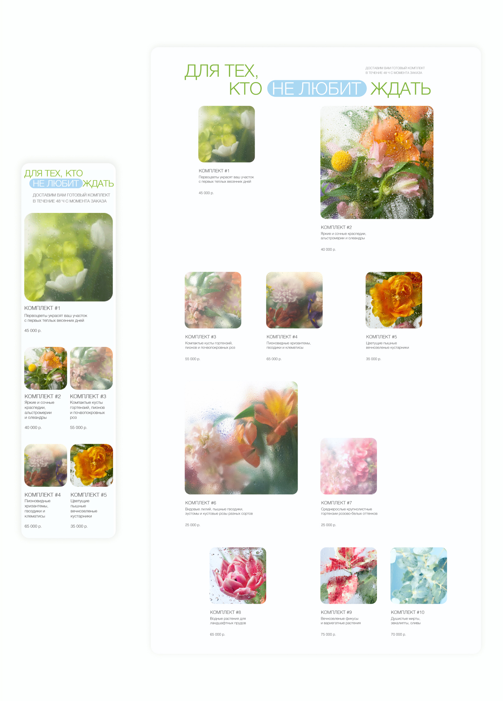 FLORINA // Компания по озеленению — Изображение №5 — Интерфейсы на Dprofile