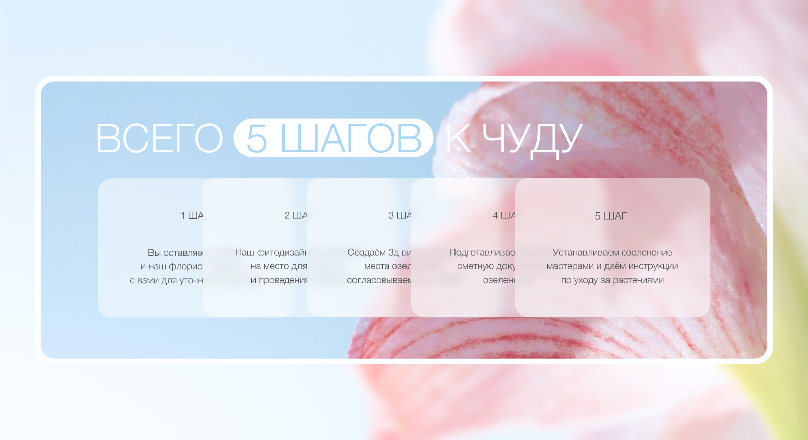 FLORINA // Компания по озеленению — Изображение №6 — Интерфейсы на Dprofile