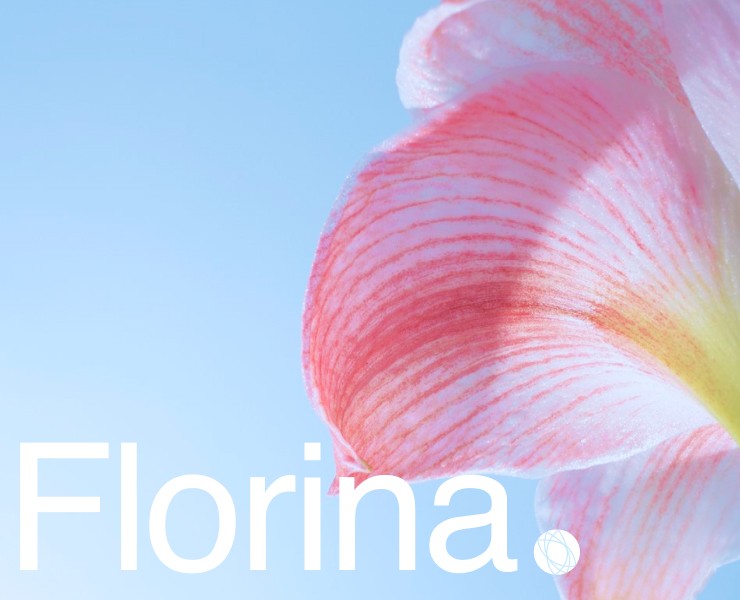 FLORINA // Компания по озеленению — Интерфейсы на Dprofile