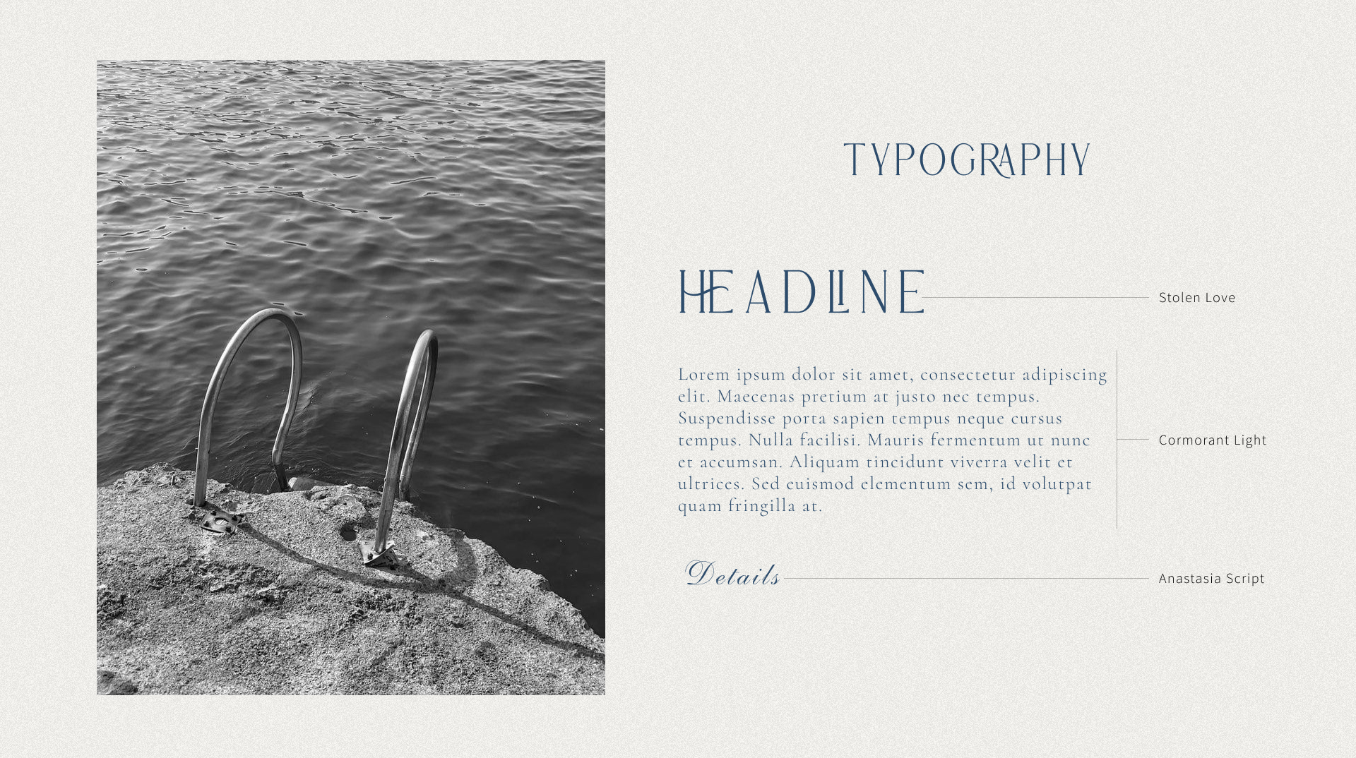 Бренд дизайн для бренда купальников — Изображение №10 — Брендинг на Dprofile