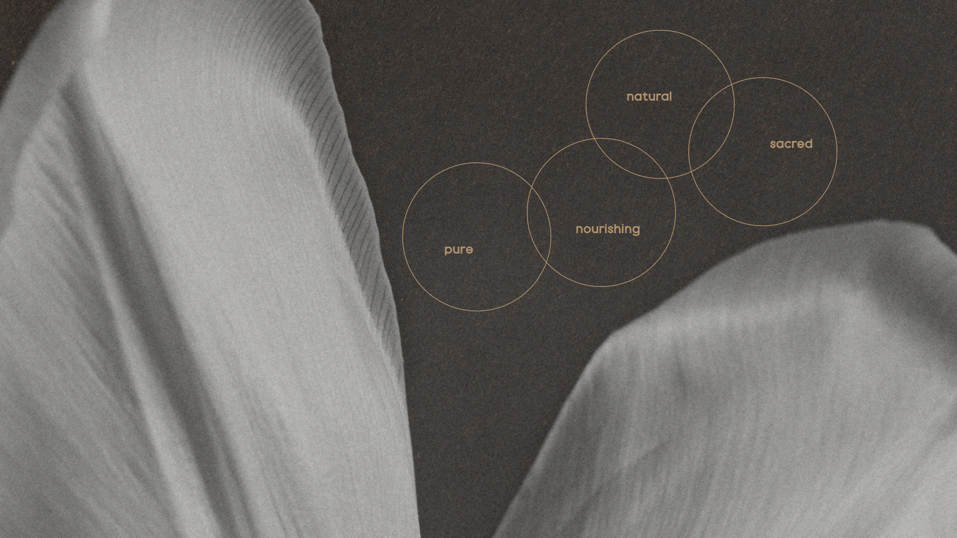 Бренд ходовой косметики. Фирменный стиль — Изображение №3 — Брендинг на Dprofile