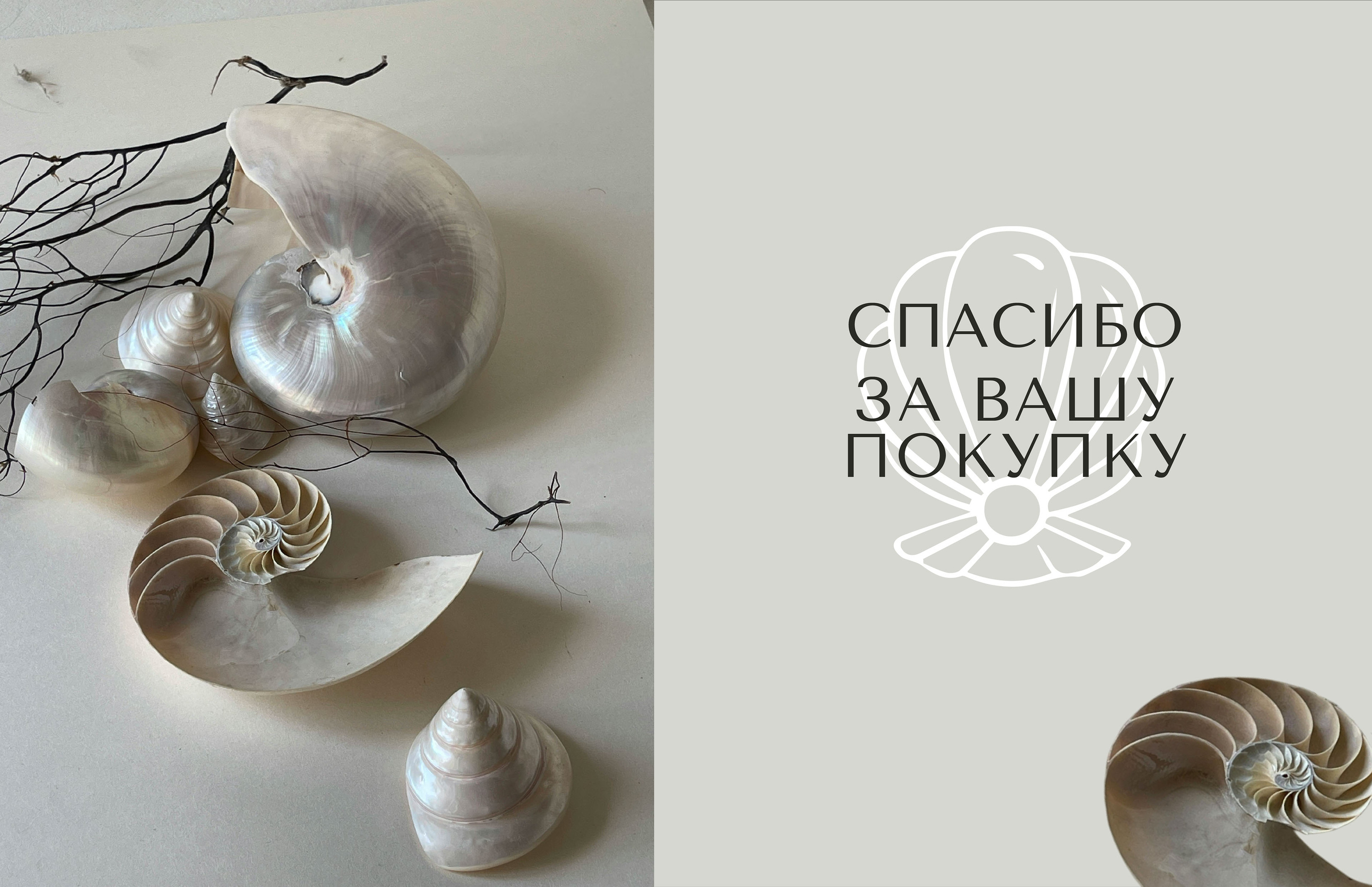 ФИРМЕННЫЙ СТИЛЬ | БРЕНД КУПАЛЬНИКОВ | ЛОГОТИП — Изображение №2 — Брендинг на Dprofile