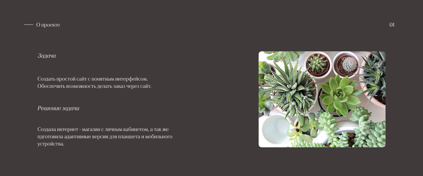Интернет - магазин Plant — Изображение №2 — Интерфейсы на Dprofile