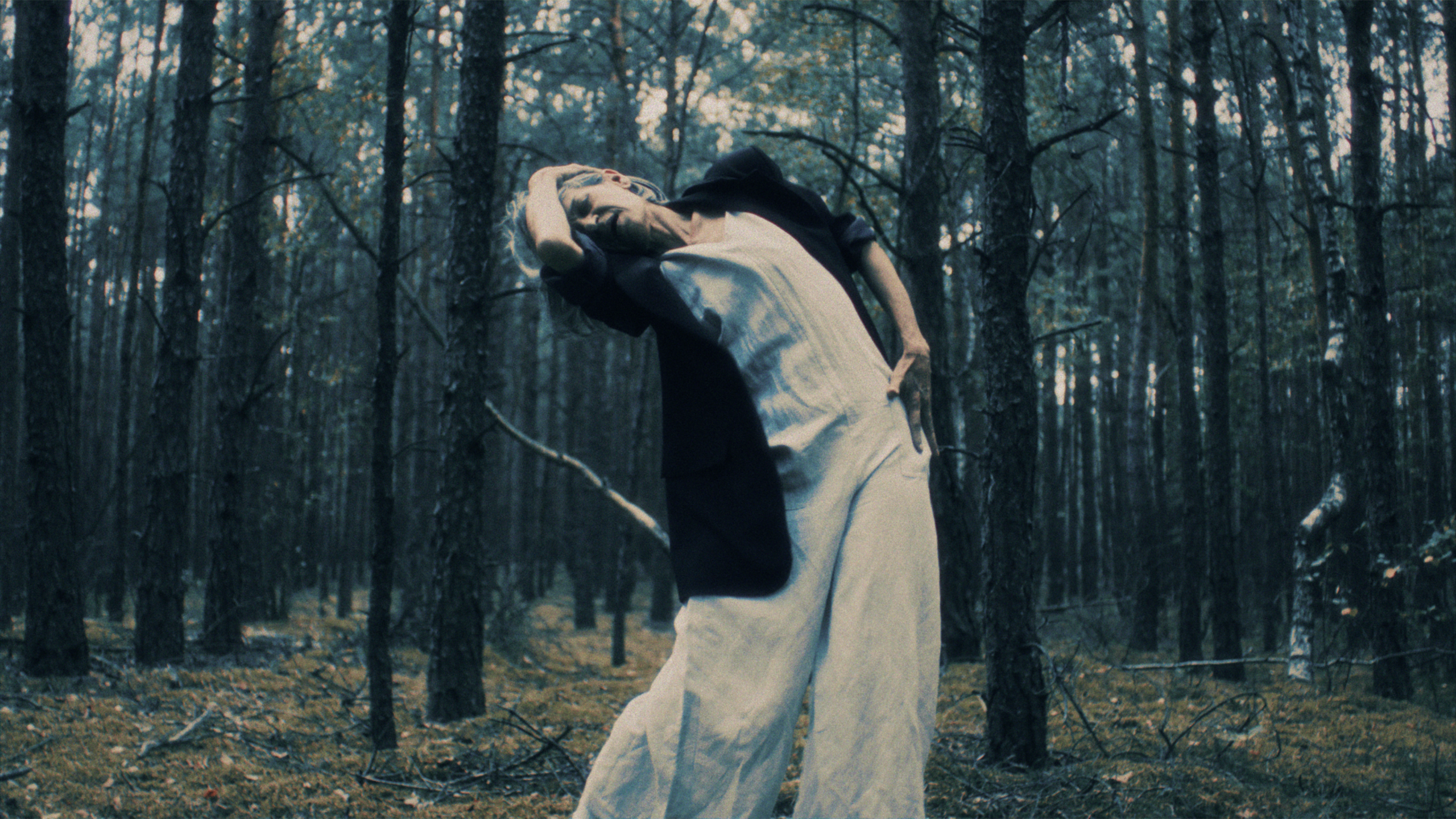 Mikromusic - Нежность. Музыкальный клип — Изображение №3 — Анимация на Dprofile