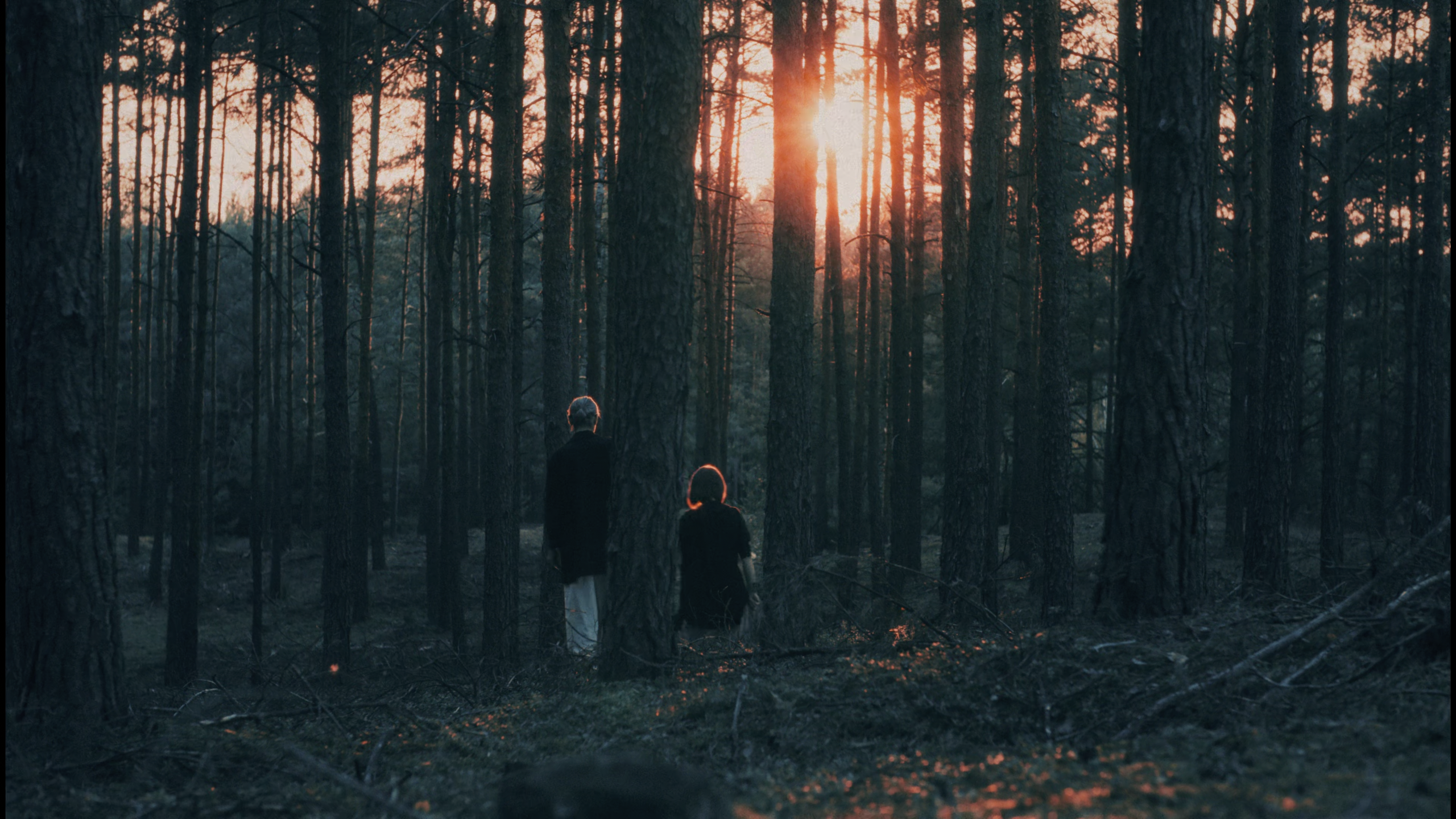 Mikromusic - Нежность. Музыкальный клип — Изображение №9 — Анимация на Dprofile