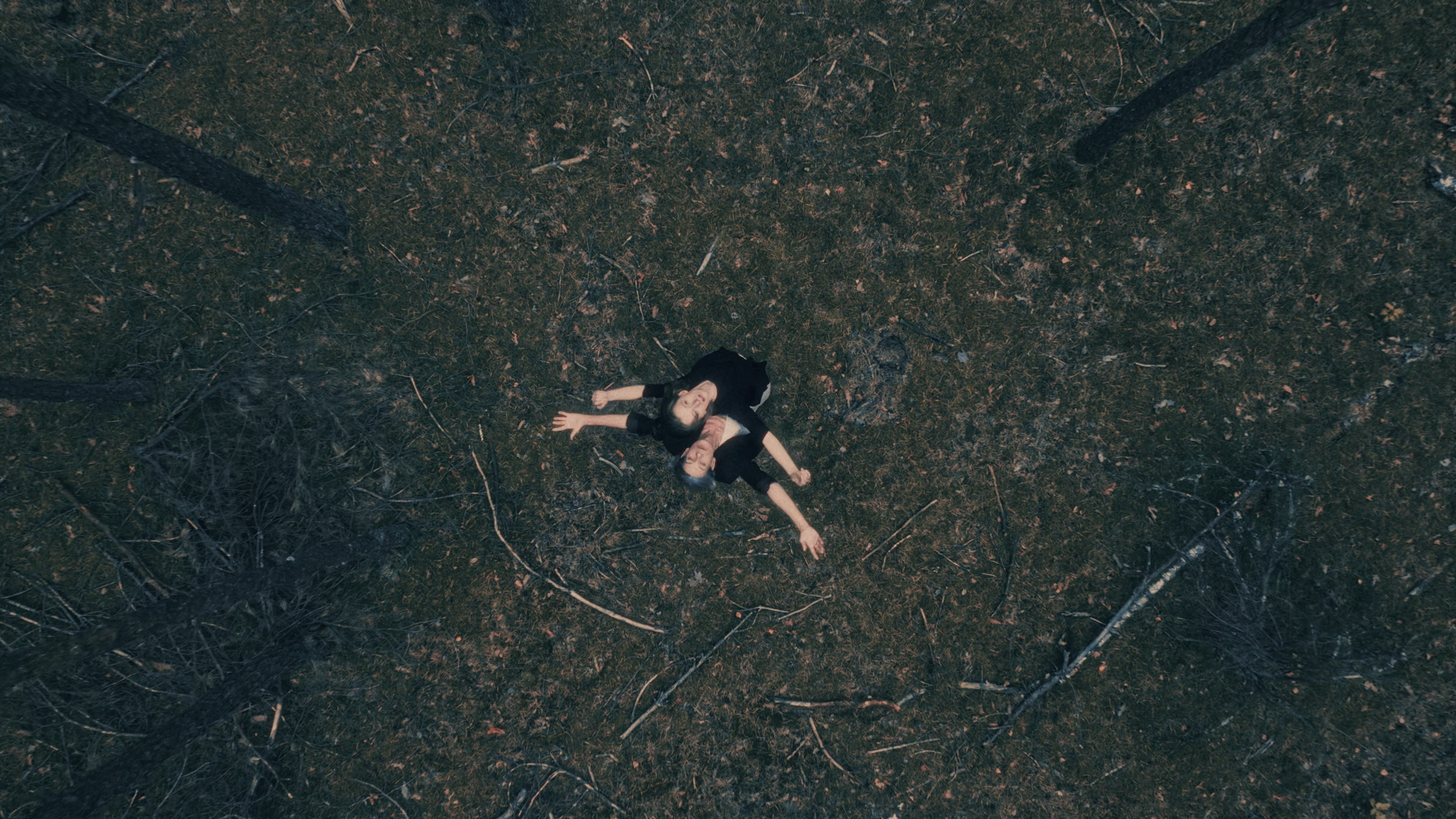 Mikromusic - Нежность. Музыкальный клип — Изображение №8 — Анимация на Dprofile