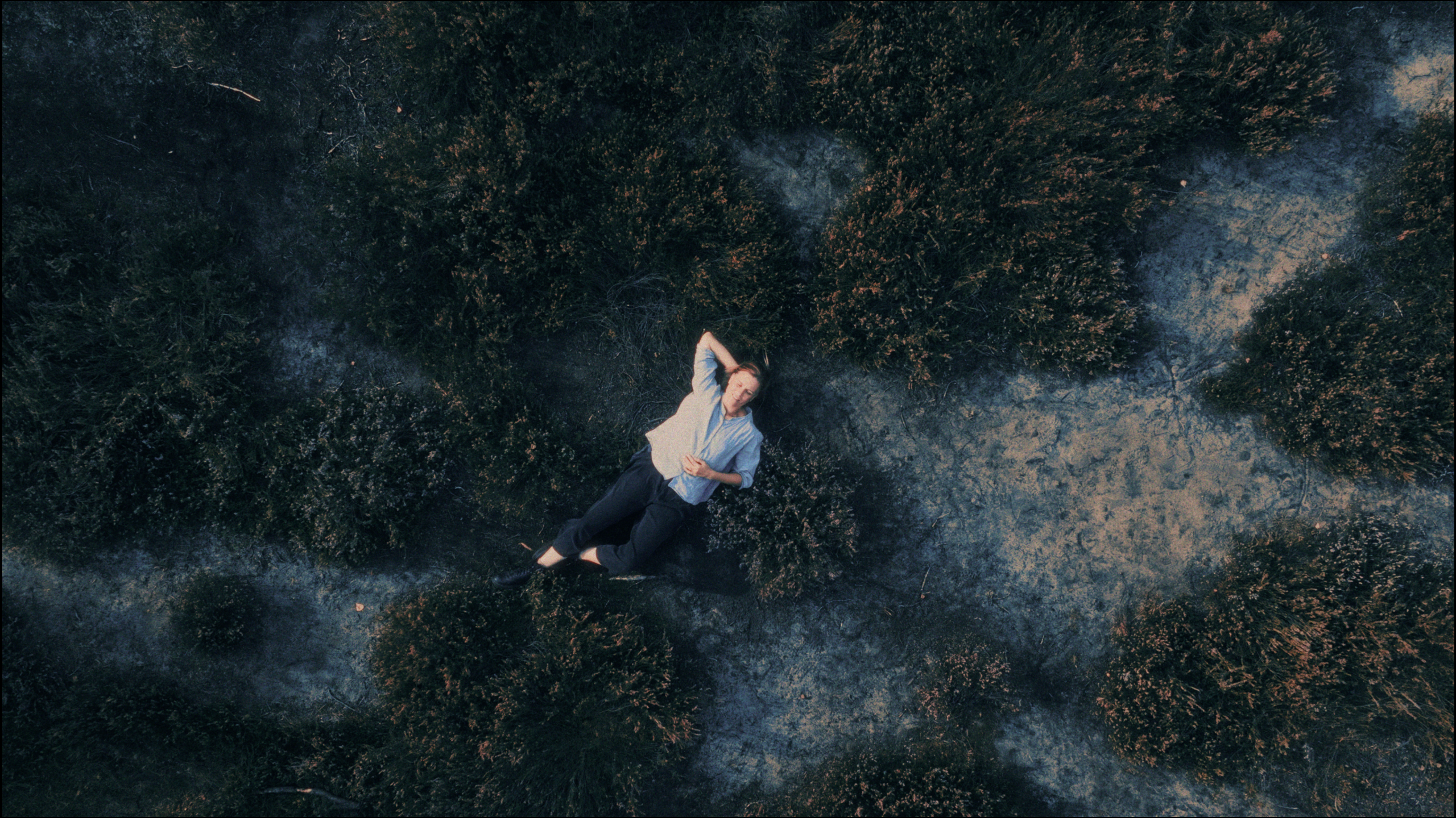 Mikromusic - Нежность. Музыкальный клип — Изображение №2 — Анимация на Dprofile