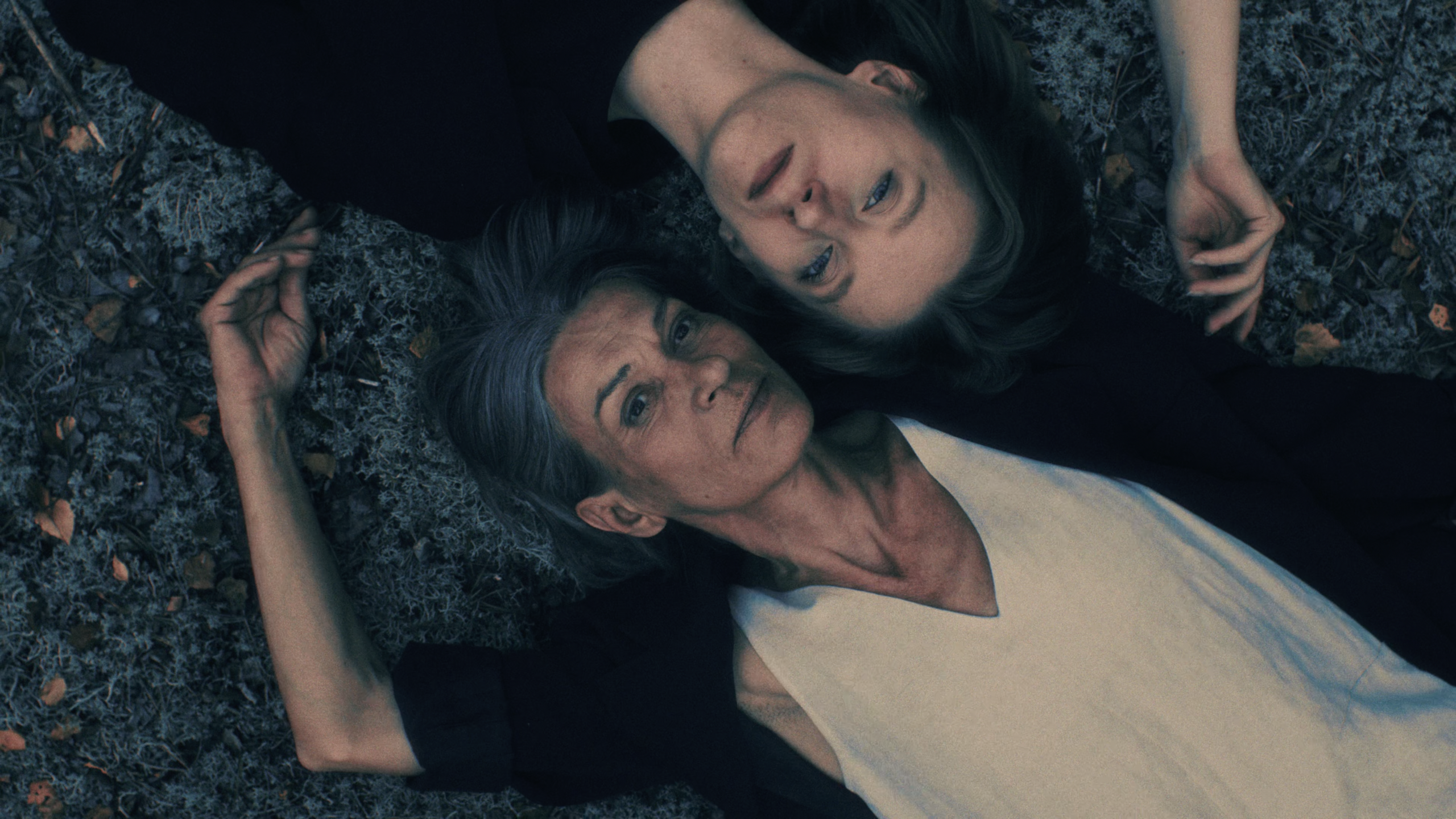 Mikromusic - Нежность. Музыкальный клип — Изображение №4 — Анимация на Dprofile