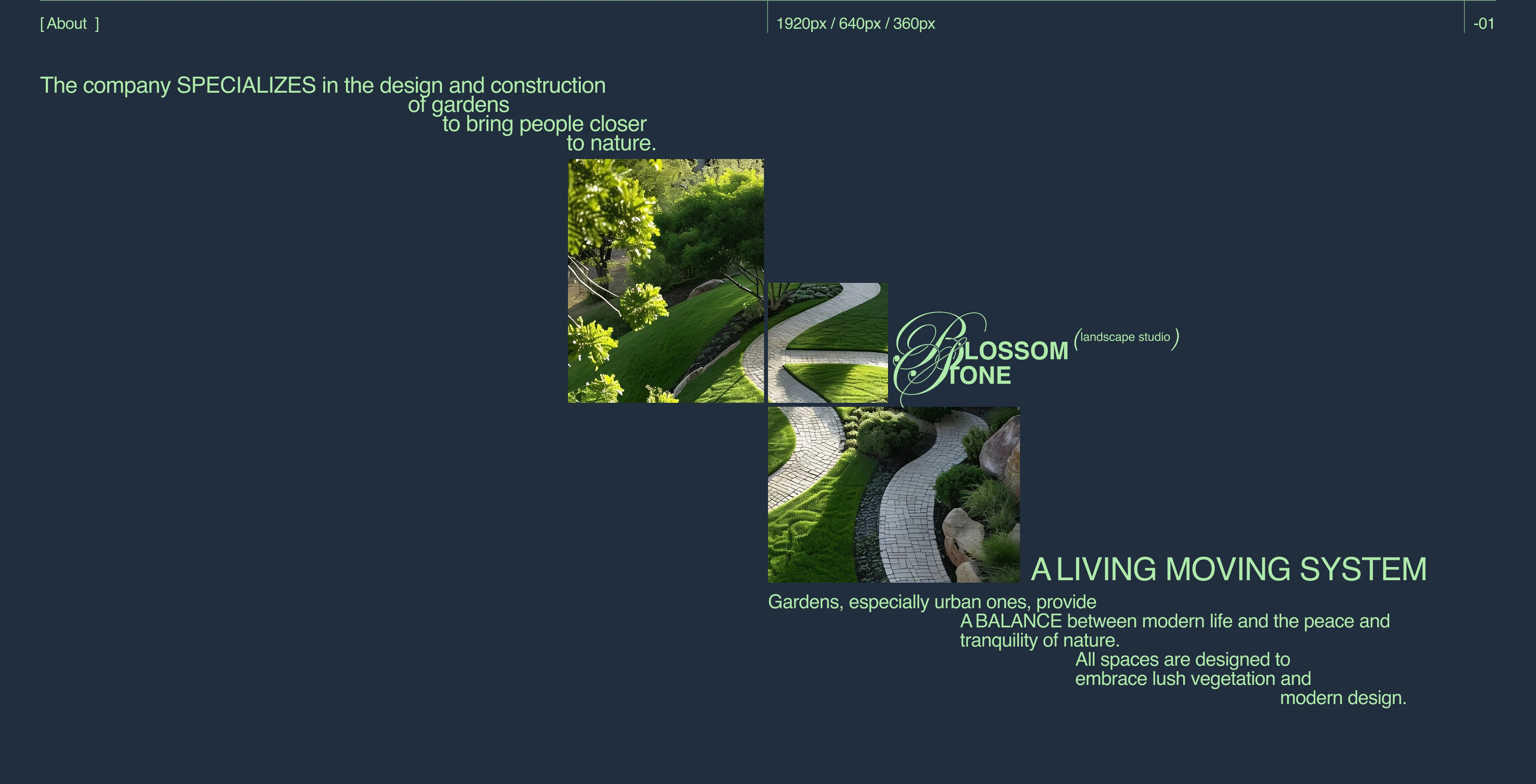 BLOSSOM&STONE | Corporate Website — Изображение №2 — Интерфейсы на Dprofile