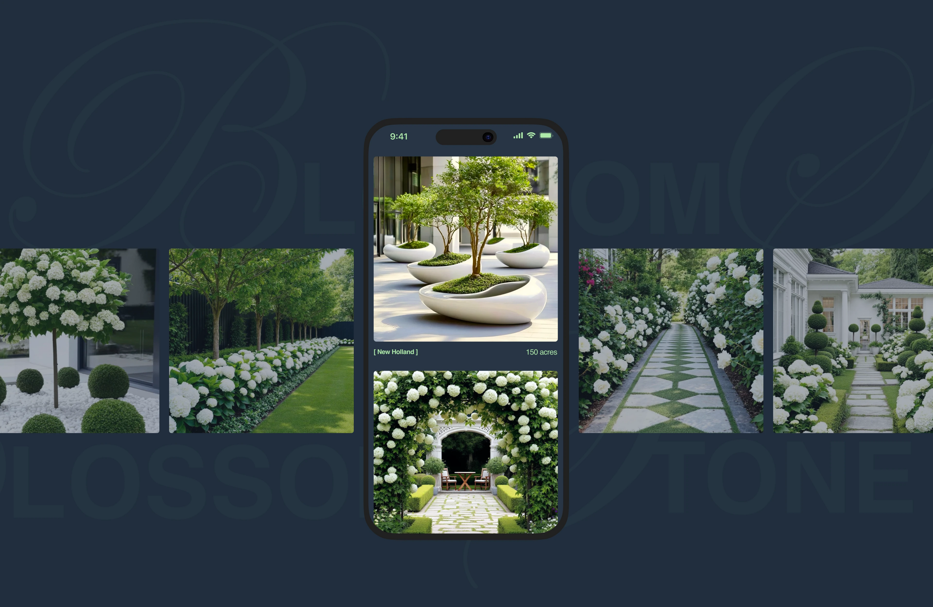 BLOSSOM&STONE | Corporate Website — Изображение №13 — Интерфейсы на Dprofile
