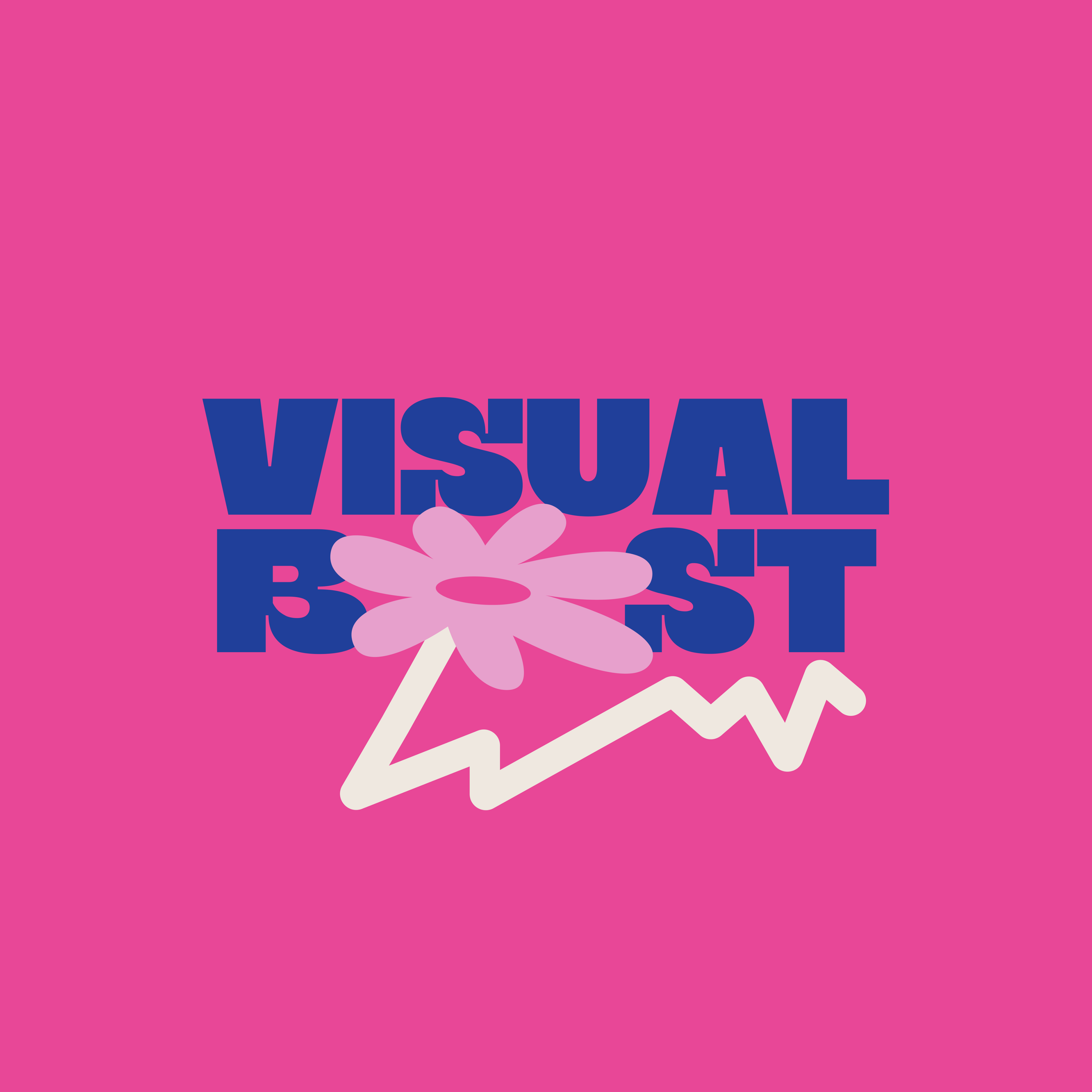 Visual Boost/Цветочная лавка — Изображение №4 — Брендинг на Dprofile