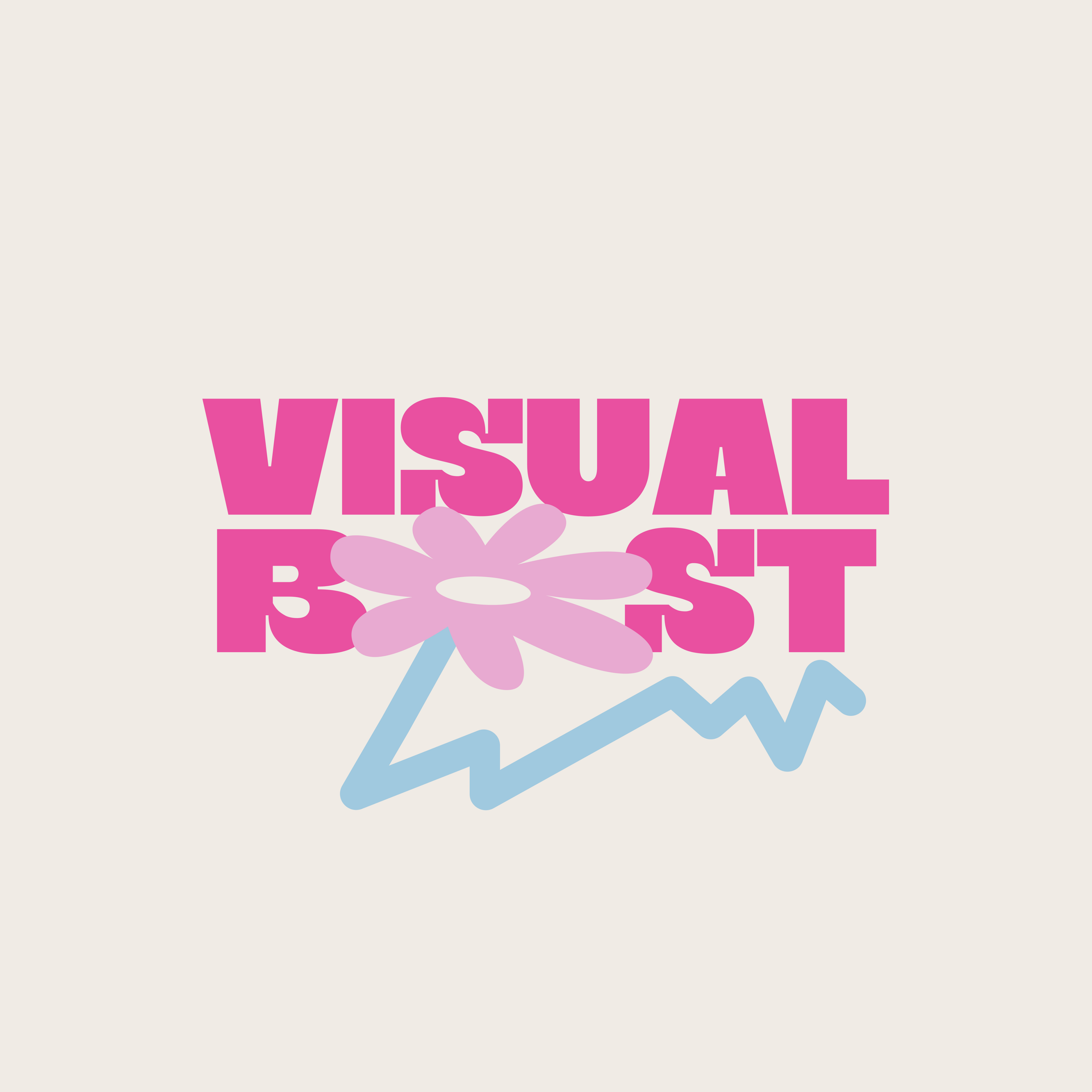Visual Boost/Цветочная лавка — Изображение №2 — Брендинг на Dprofile