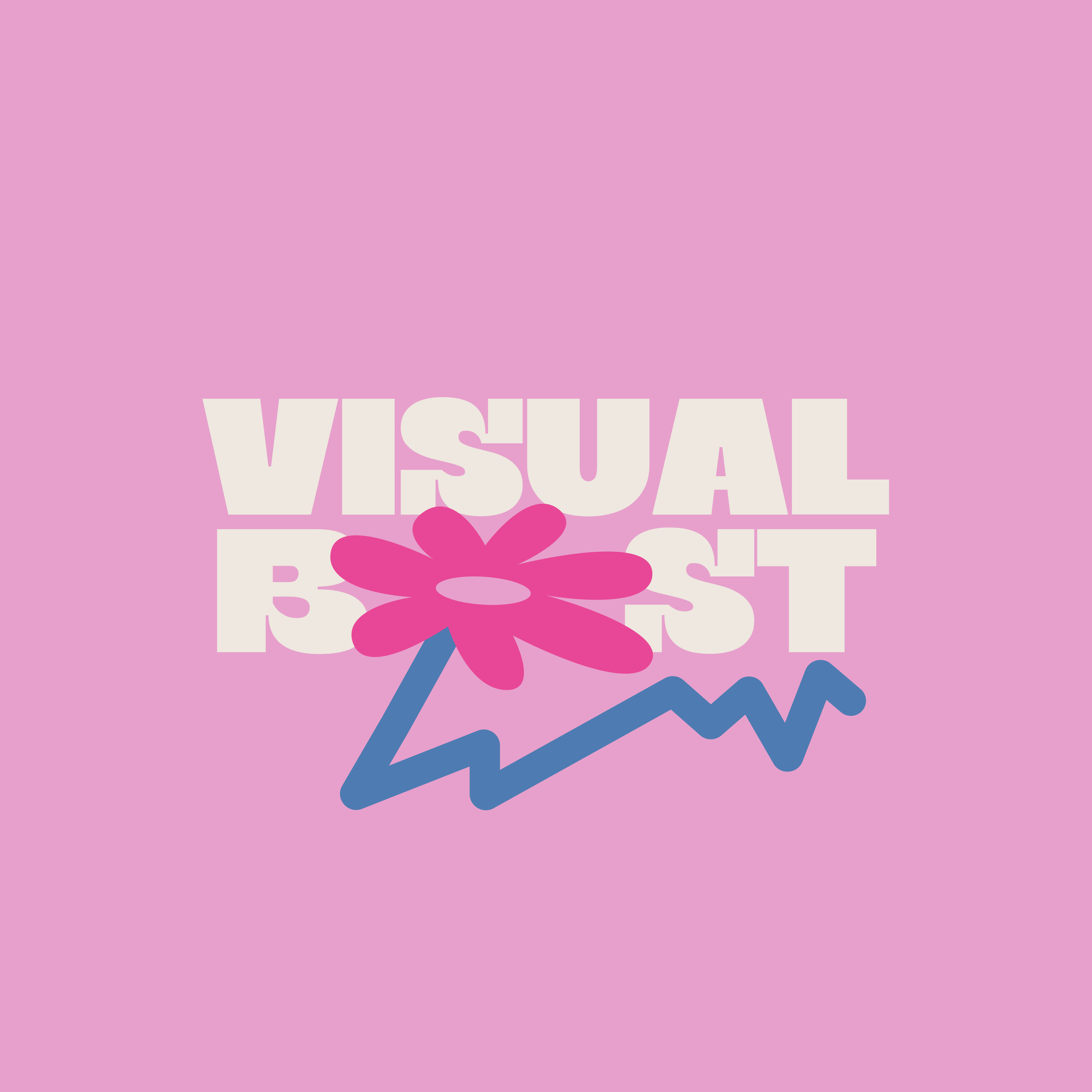 Visual Boost/Цветочная лавка — Изображение №3 — Брендинг на Dprofile