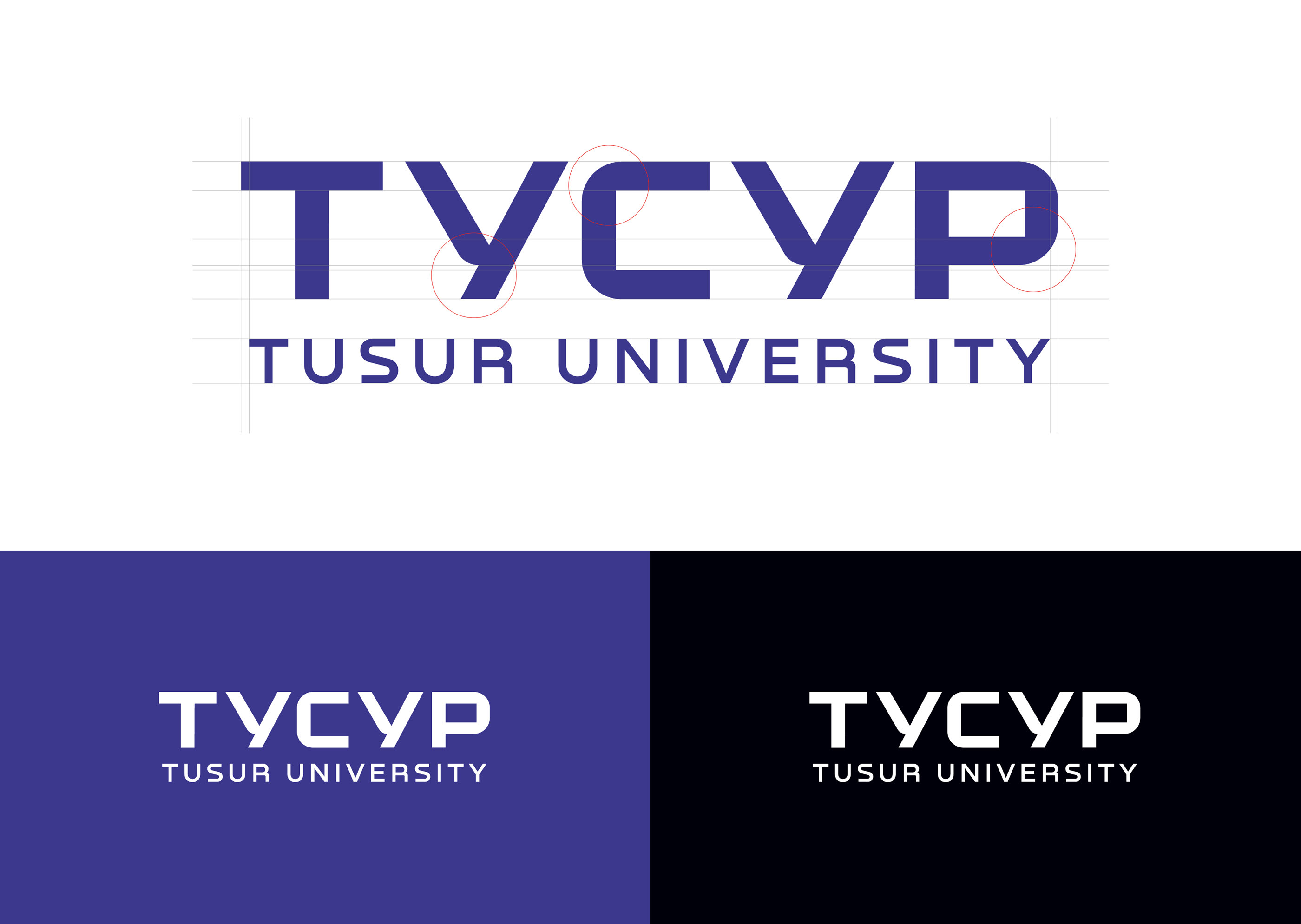 Ребрендинг университета: ТУСУР — Изображение №5 — Брендинг, Графика на Dprofile