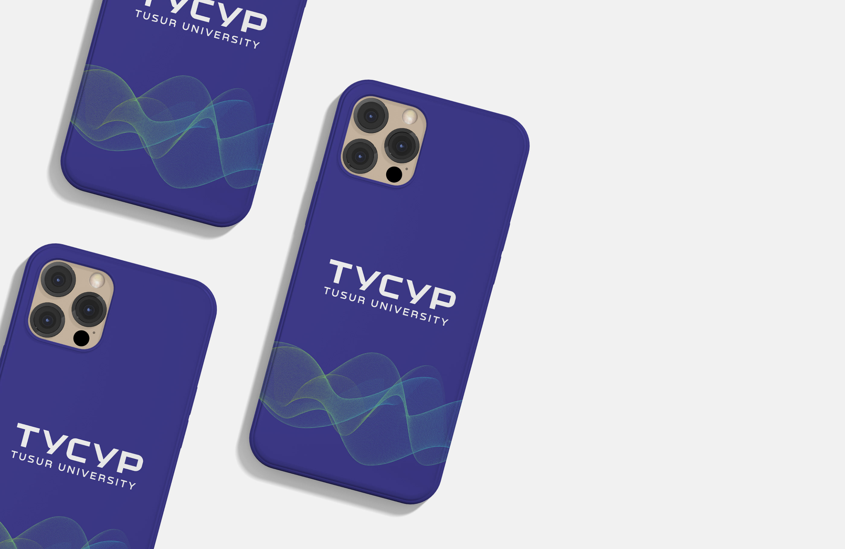 Ребрендинг университета: ТУСУР — Изображение №11 — Брендинг, Графика на Dprofile