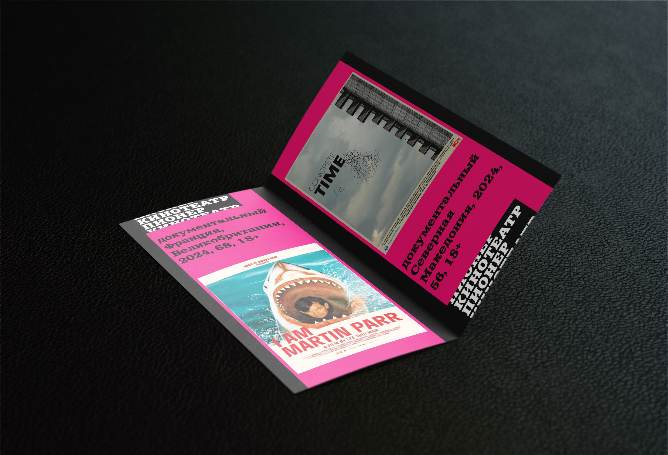 Кинотеатр "Пионер" — Изображение №6 — Графика на Dprofile