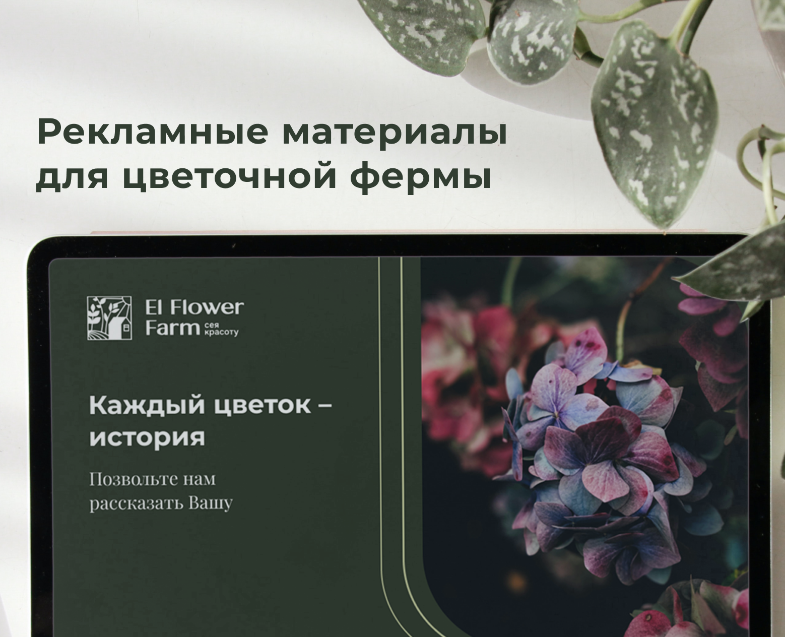 Рекламные материалы для цветочной фермы — Интерфейсы, Маркетинг на Dprofile