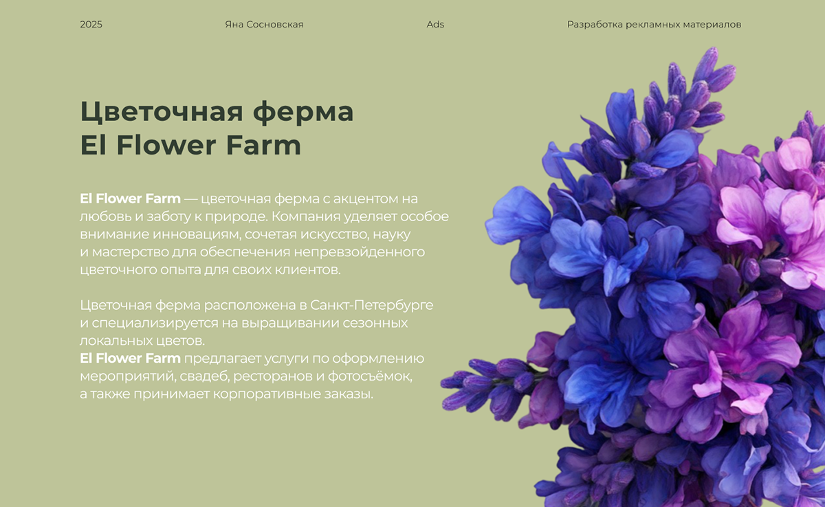 Рекламные материалы для цветочной фермы — Изображение №1 — Интерфейсы, Маркетинг на Dprofile
