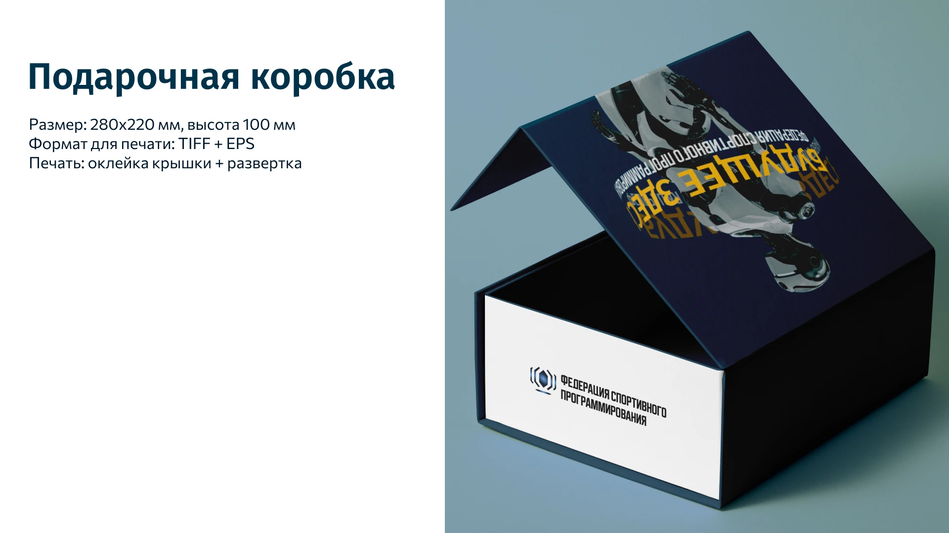 Брендинг | ФСП Федерация спортивного программирования — Изображение №25 — Брендинг на Dprofile