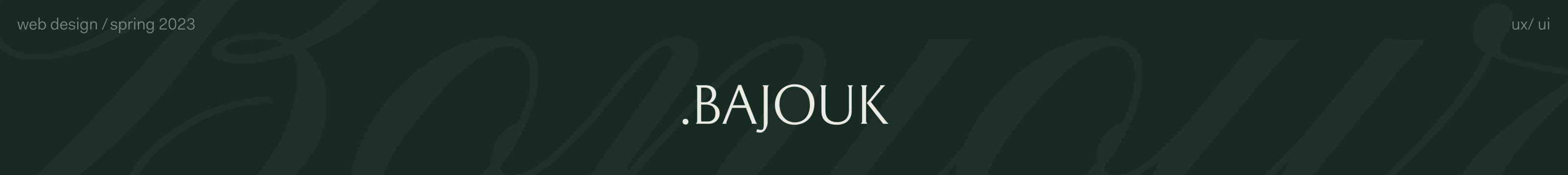 Bajouk — Изображение №1 — Интерфейсы, Графика на Dprofile