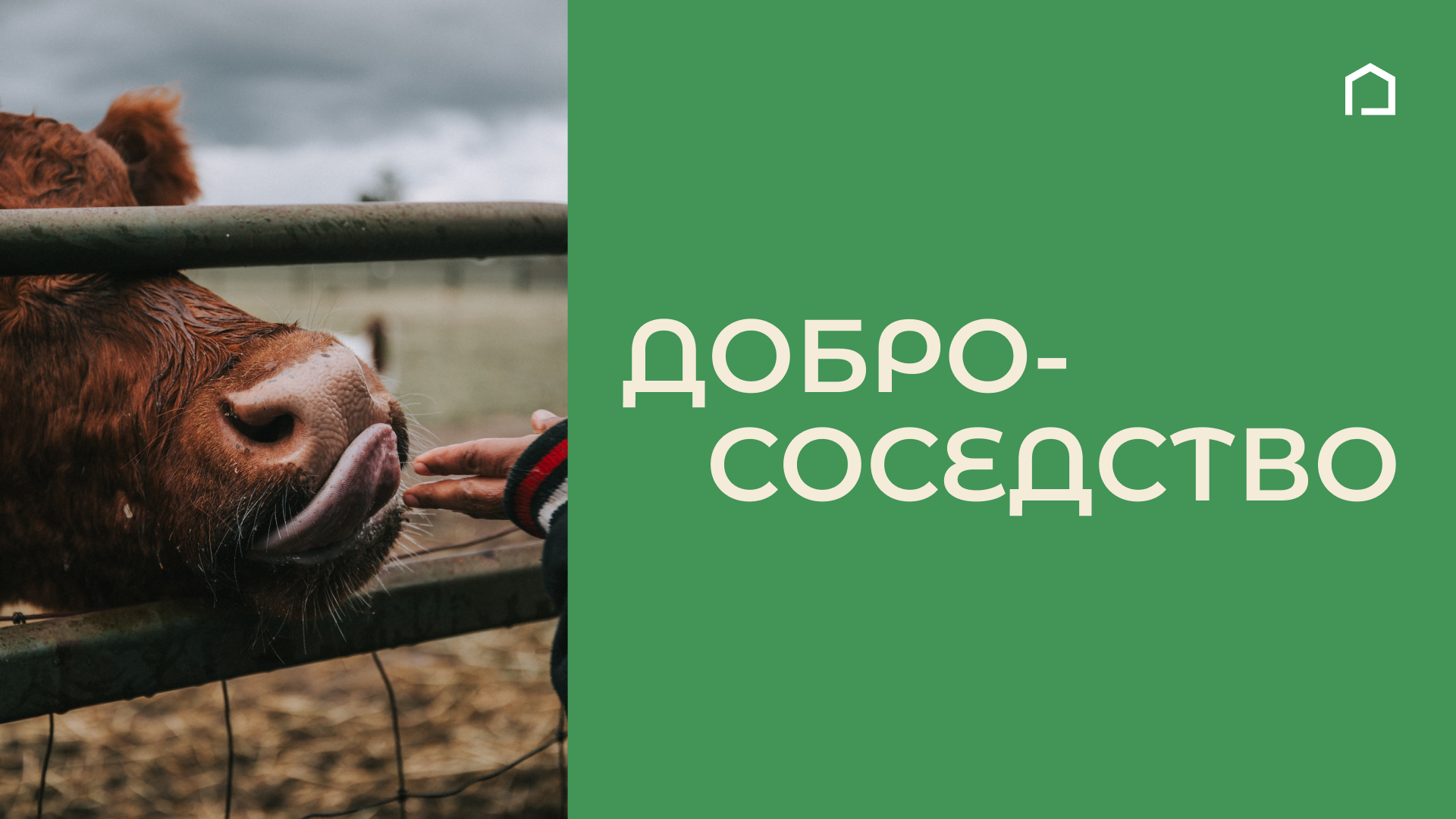 Редизайн сертификатов бренда. Посты Instagram — Изображение №1 — Графика, Маркетинг на Dprofile