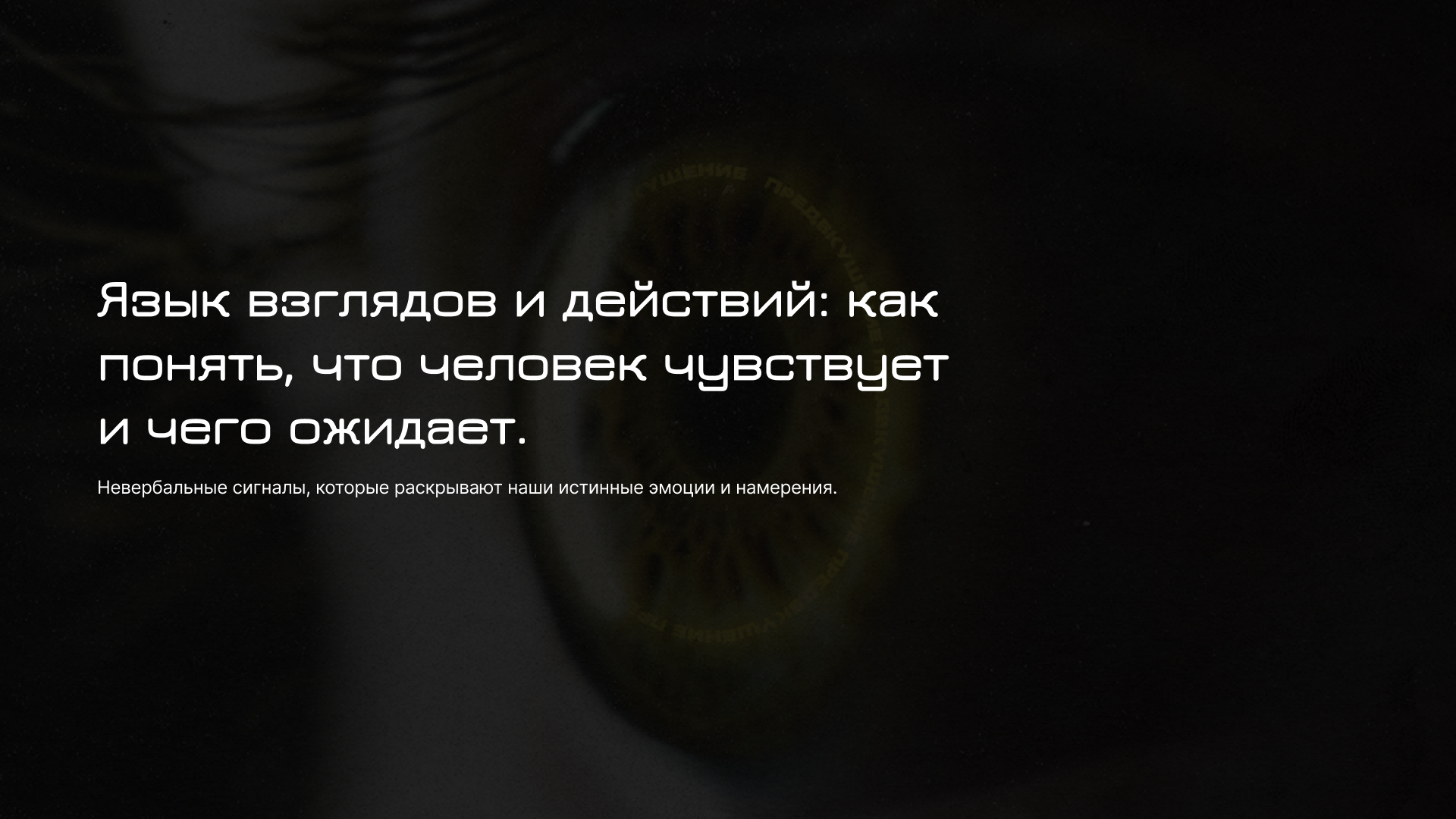 Коллеция постеров на тему язык взглядов. — Изображение №1 — Графика на Dprofile