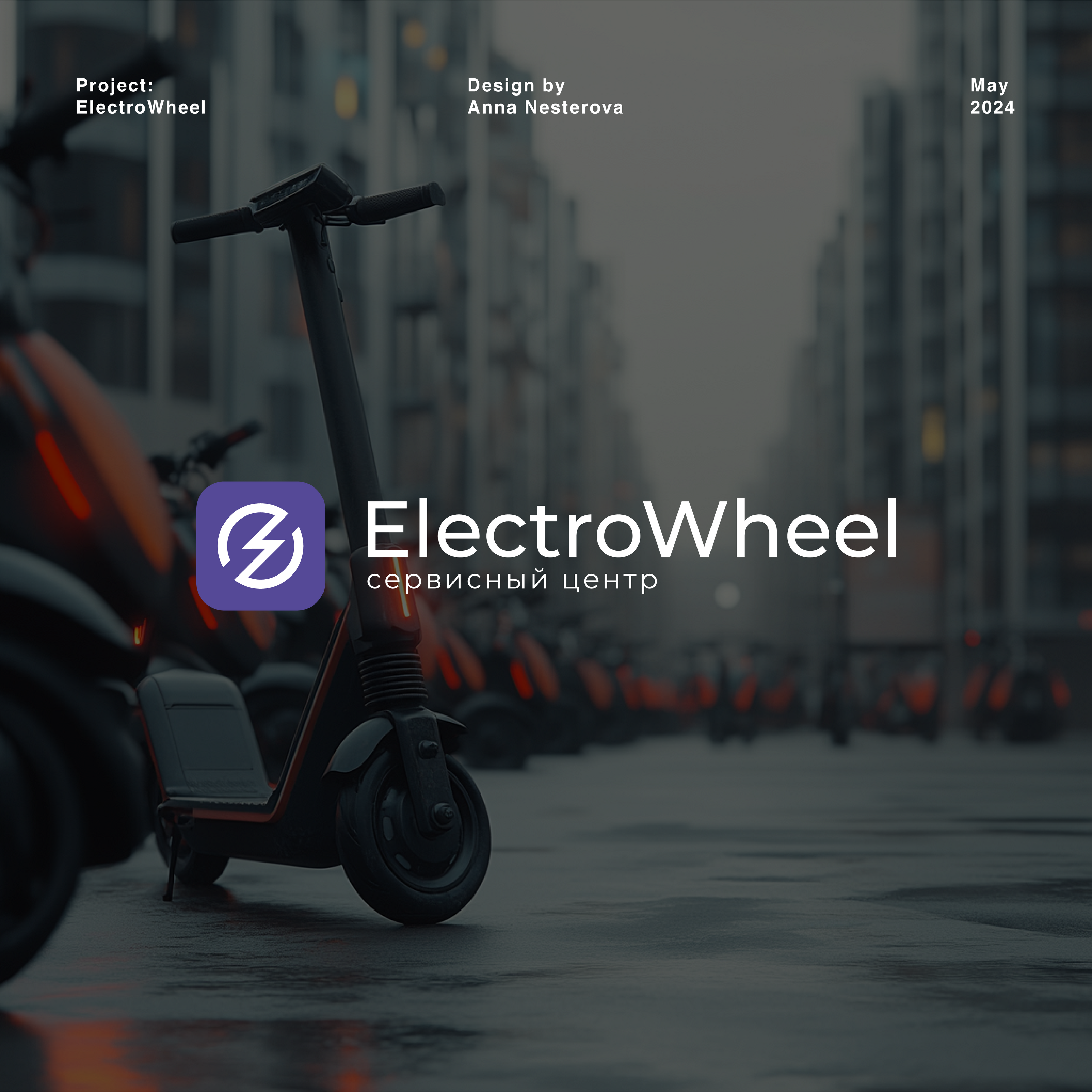 ElectroWheel — Изображение №1 — Брендинг на Dprofile