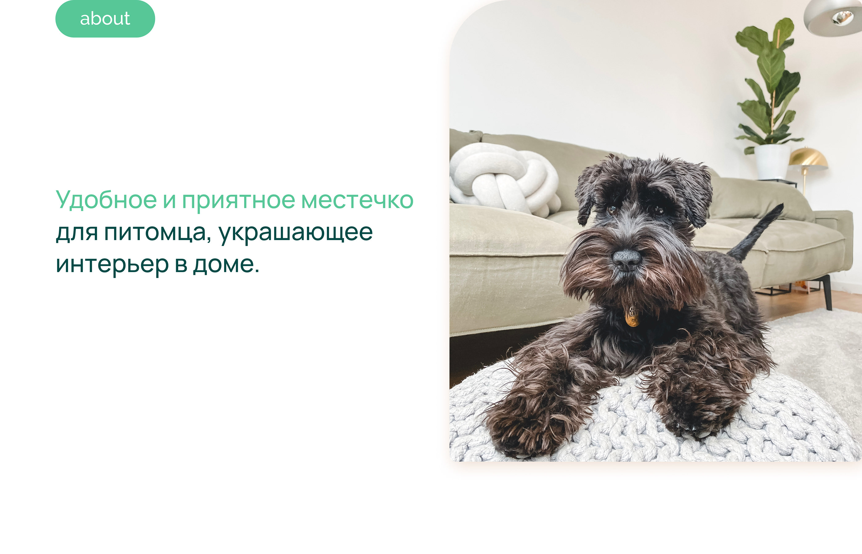 Интернет-магазин мебели для питомцев | Pet furniture — Изображение №3 — Интерфейсы на Dprofile