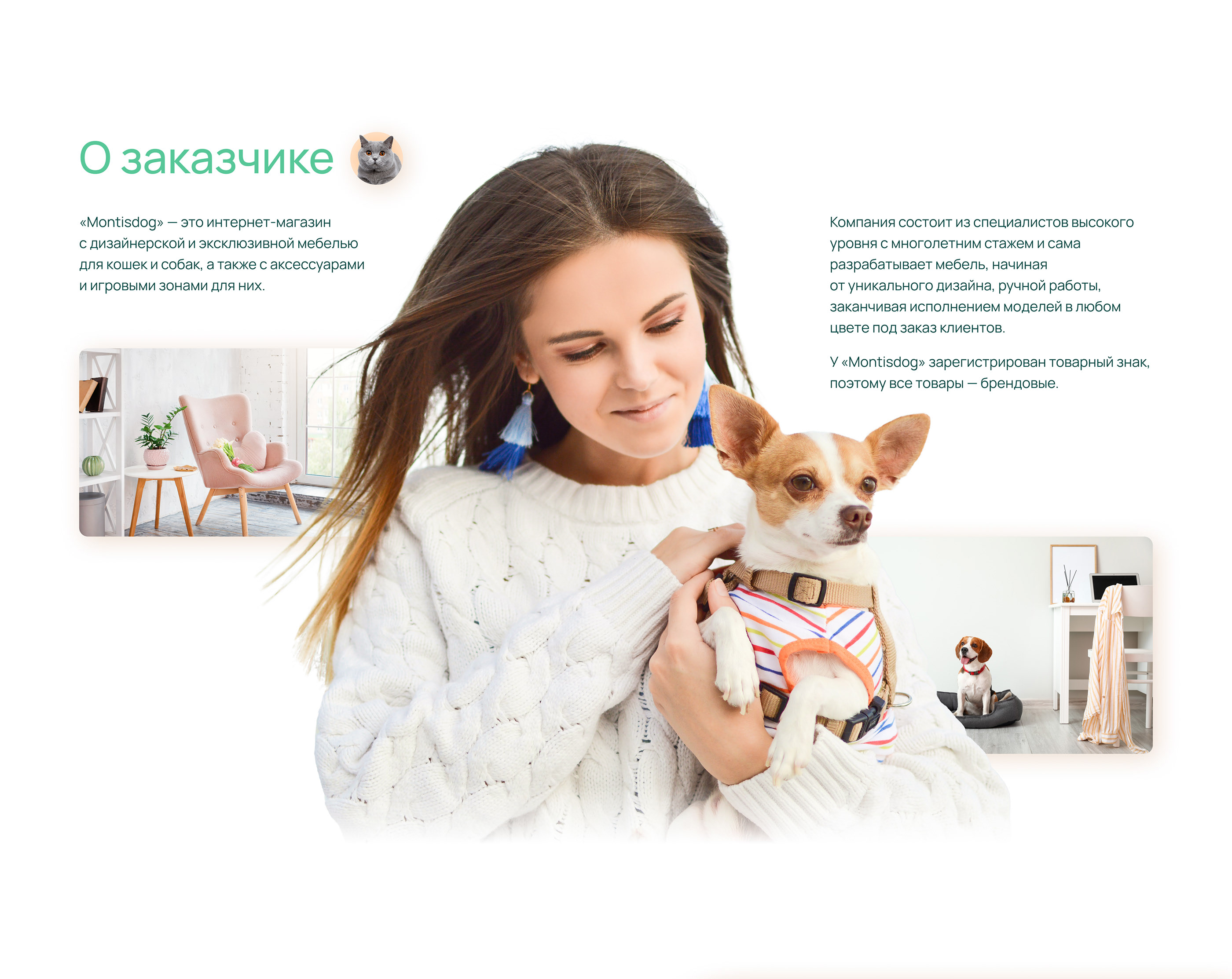 Интернет-магазин мебели для питомцев | Pet furniture — Изображение №2 — Интерфейсы на Dprofile