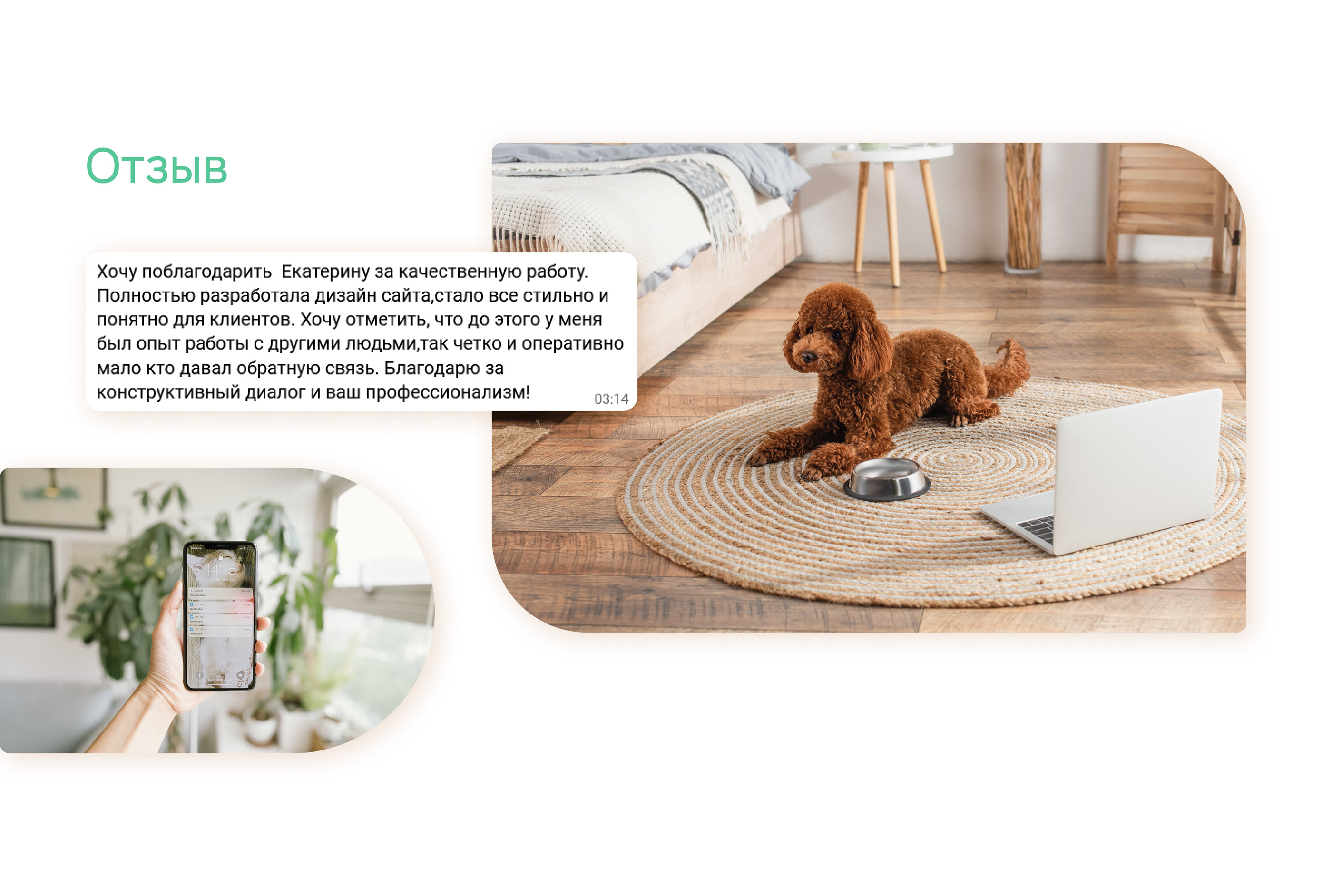 Интернет-магазин мебели для питомцев | Pet furniture — Изображение №25 — Интерфейсы на Dprofile