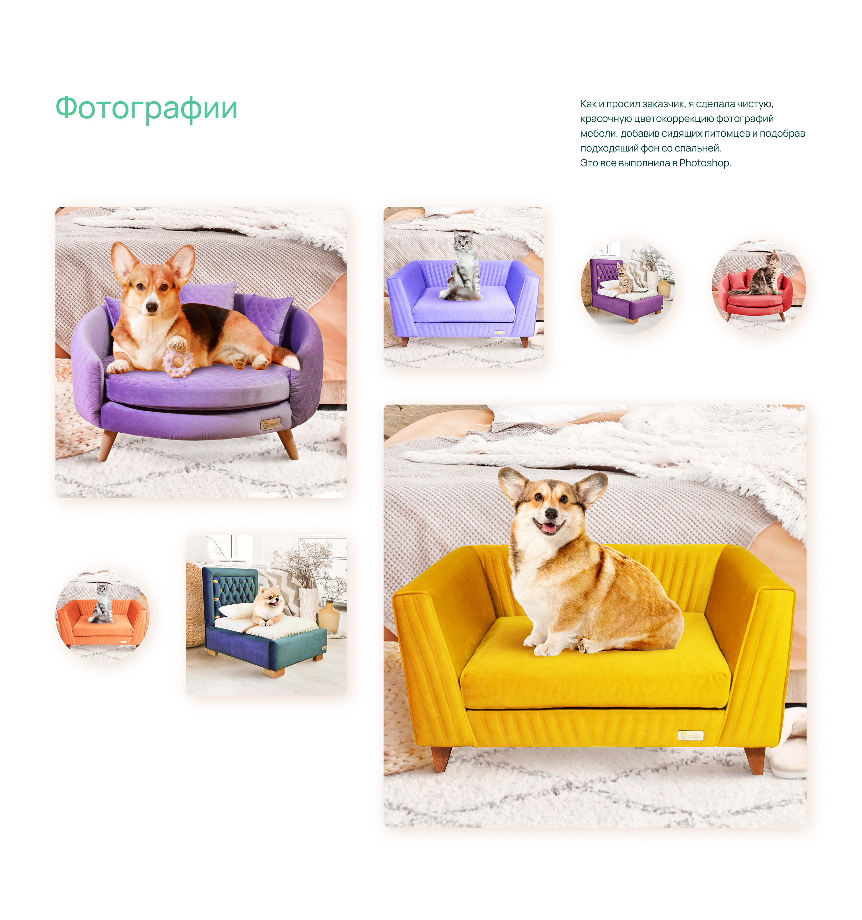 Интернет-магазин мебели для питомцев | Pet furniture — Изображение №18 — Интерфейсы на Dprofile
