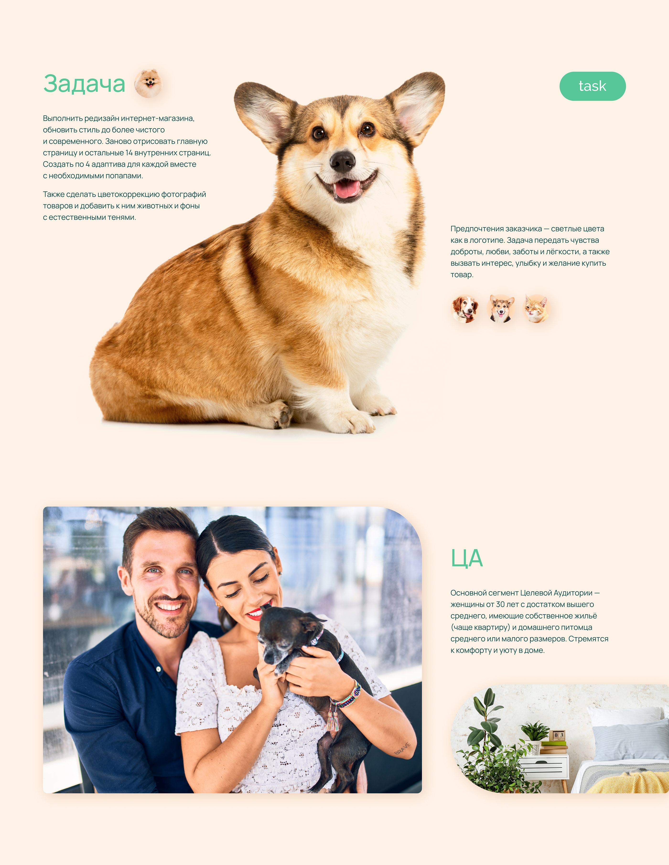 Интернет-магазин мебели для питомцев | Pet furniture — Изображение №4 — Интерфейсы на Dprofile