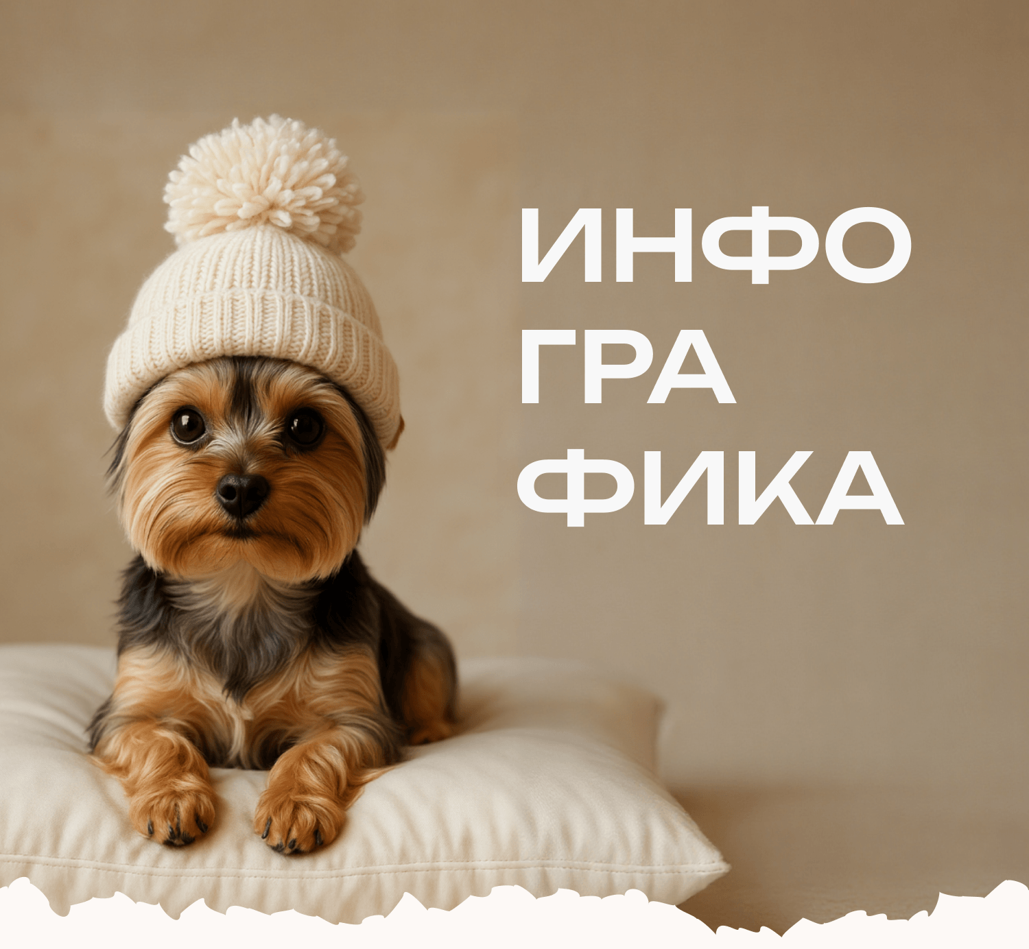 Инфографика для набора ножниц — Изображение №1 — Маркетинг на Dprofile