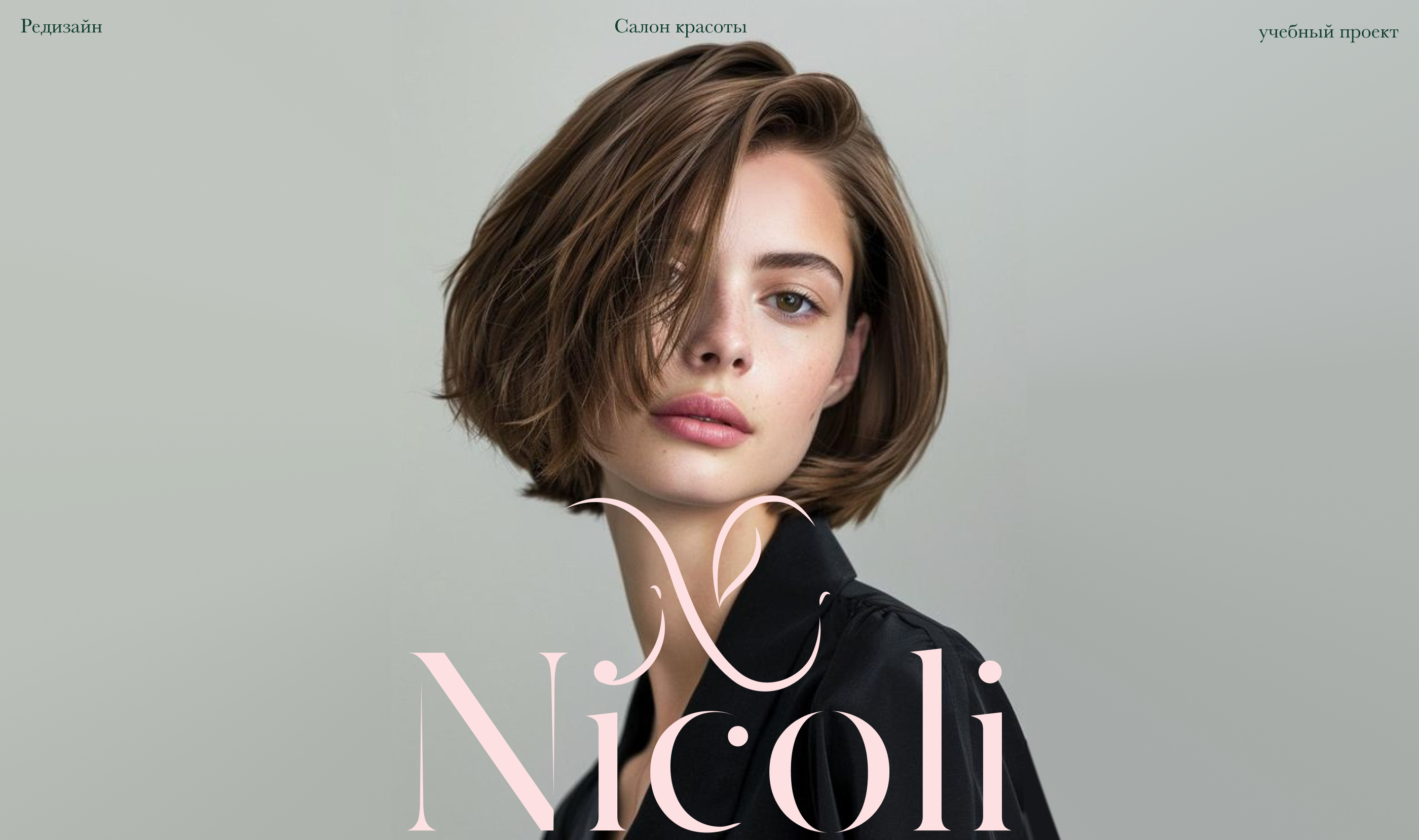 Редизайн фирменного стиля студия красоты «Nicoli» — Изображение №1 — Брендинг, Графика на Dprofile