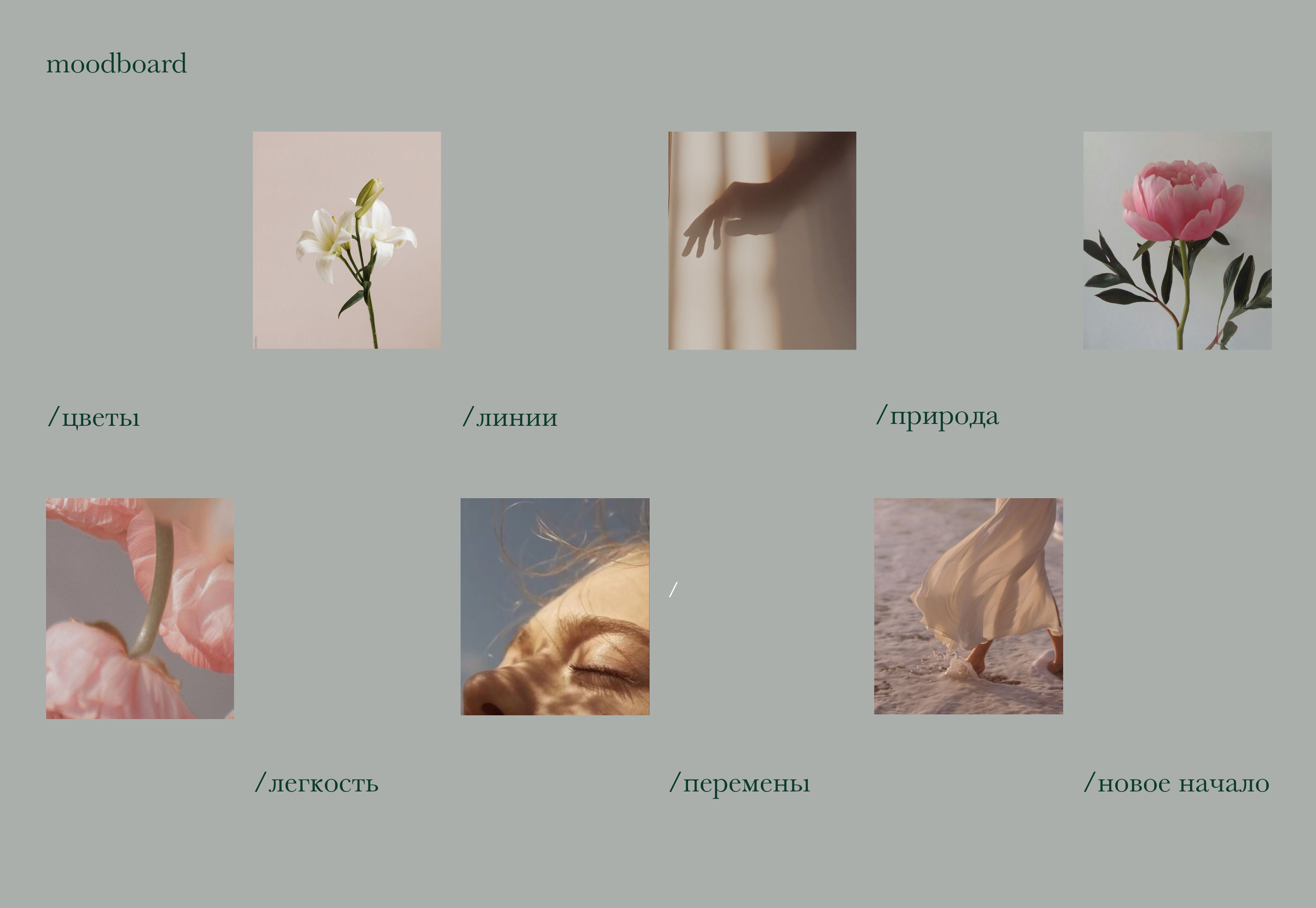 Редизайн фирменного стиля студия красоты «Nicoli» — Изображение №4 — Брендинг, Графика на Dprofile