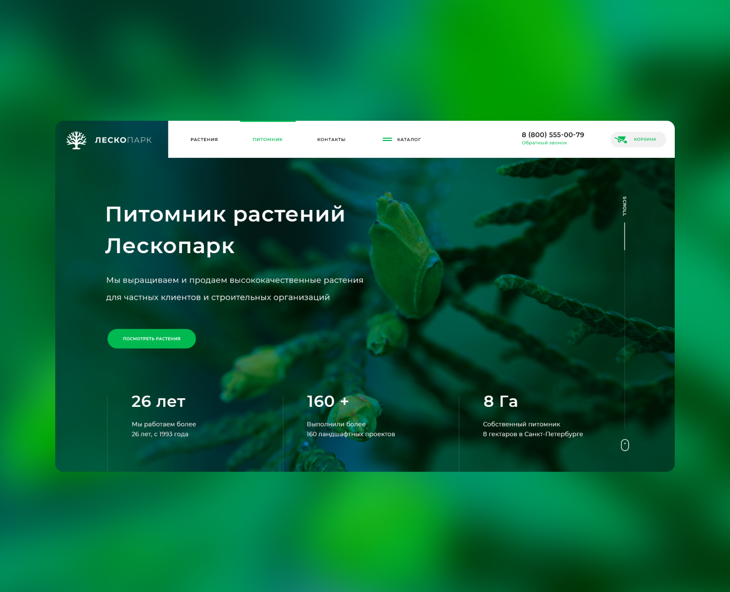 Leskopark — Интерфейсы на Dprofile