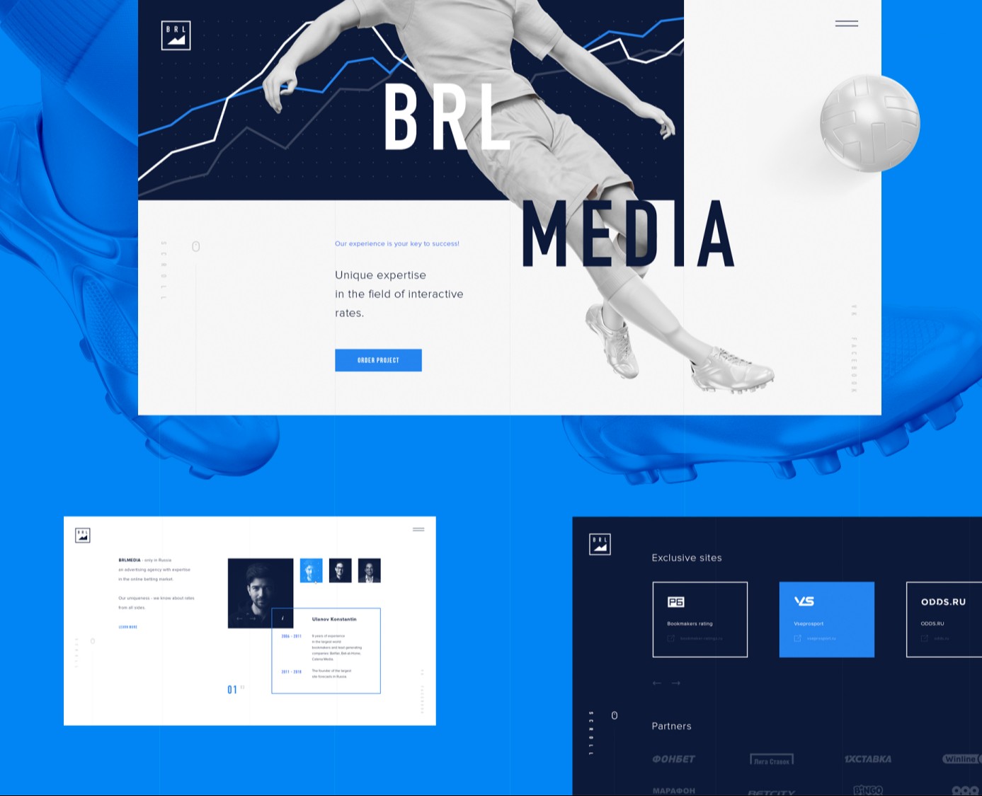 BRL — Интерфейсы на Dprofile