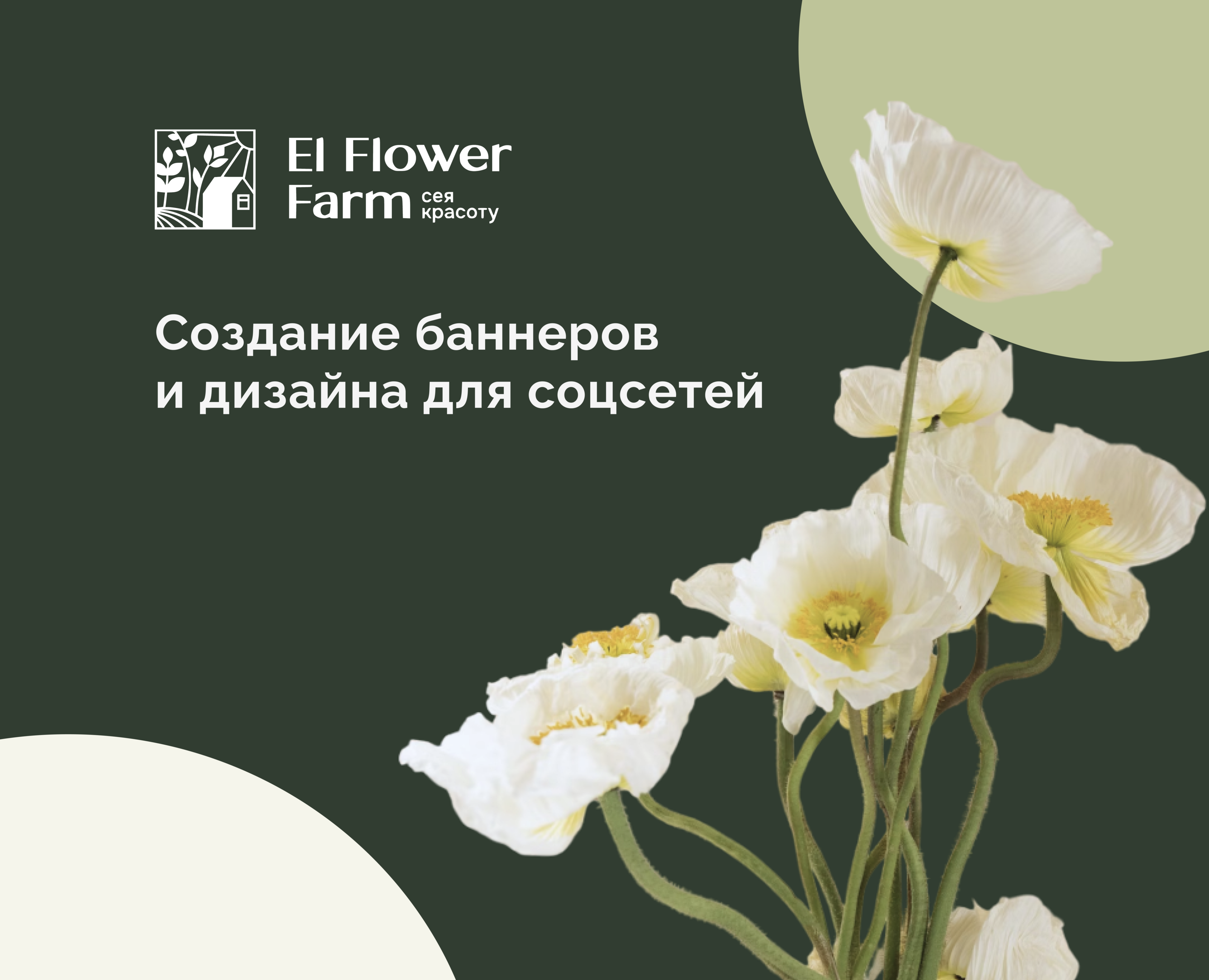Создание баннеров для El Flower Farm — Маркетинг на Dprofile