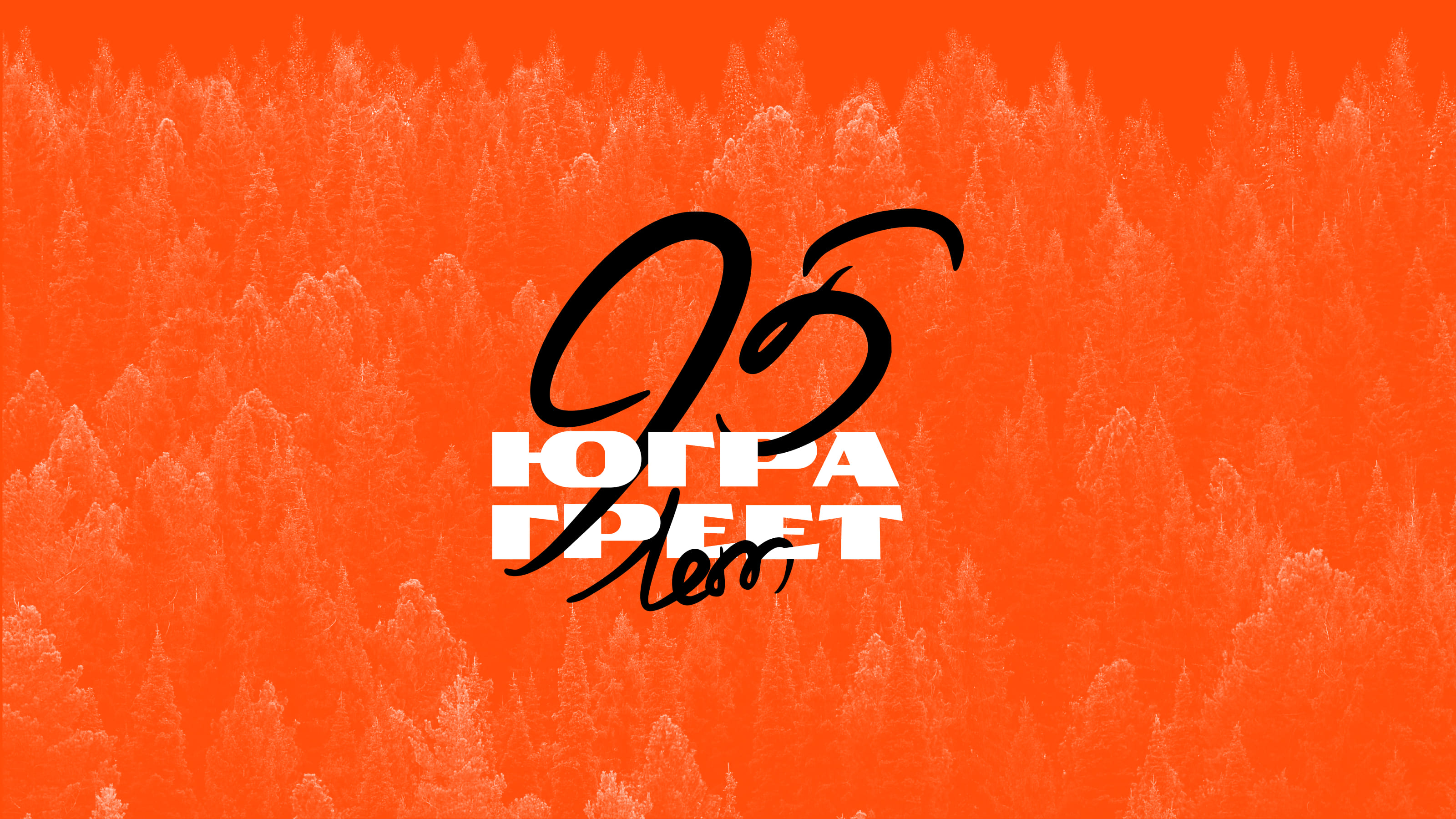 Брендбук — Изображение №1 — Брендинг, Графика на Dprofile